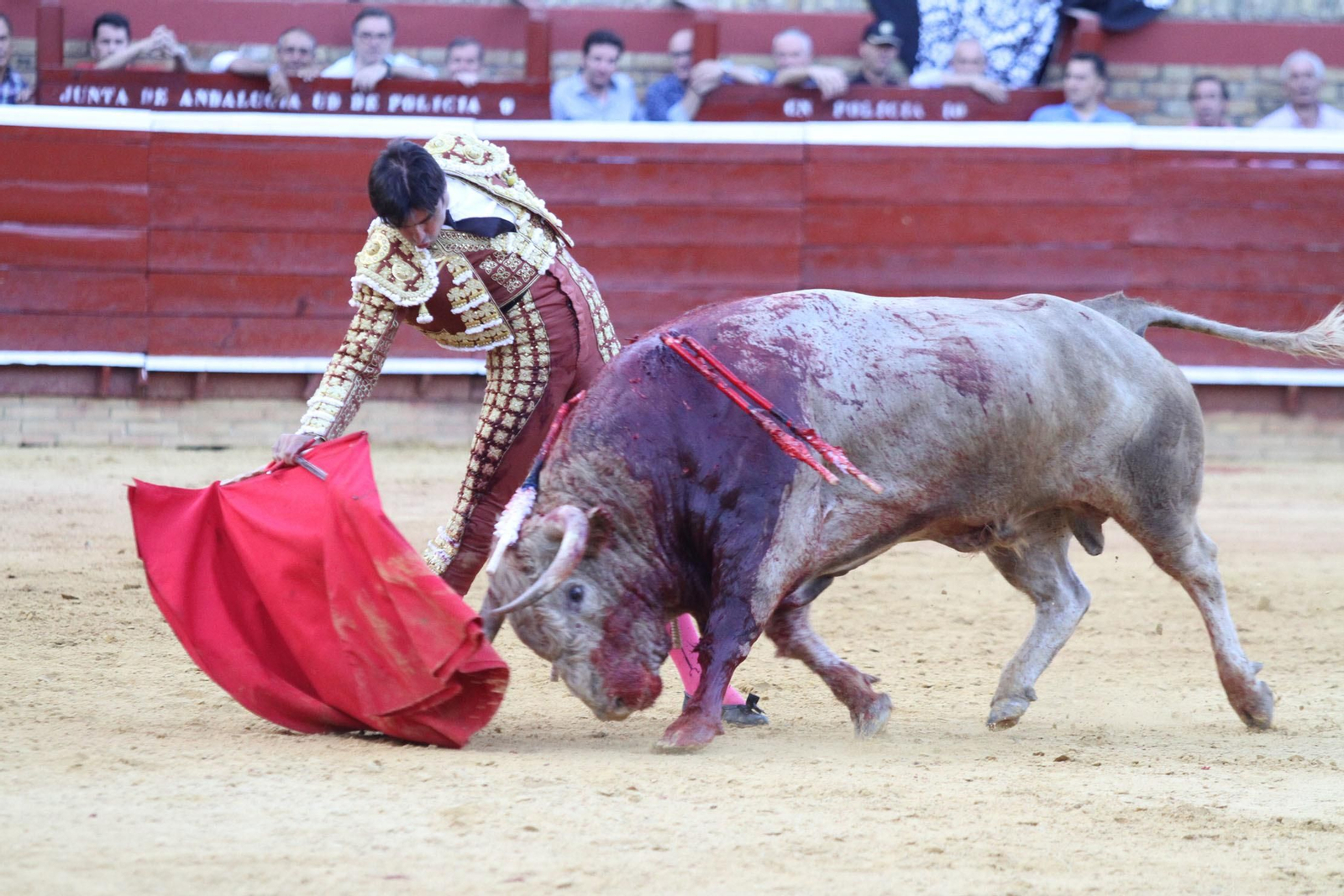 Imágenes de la faena de Miguel Angel Perera en el coso Onubense.