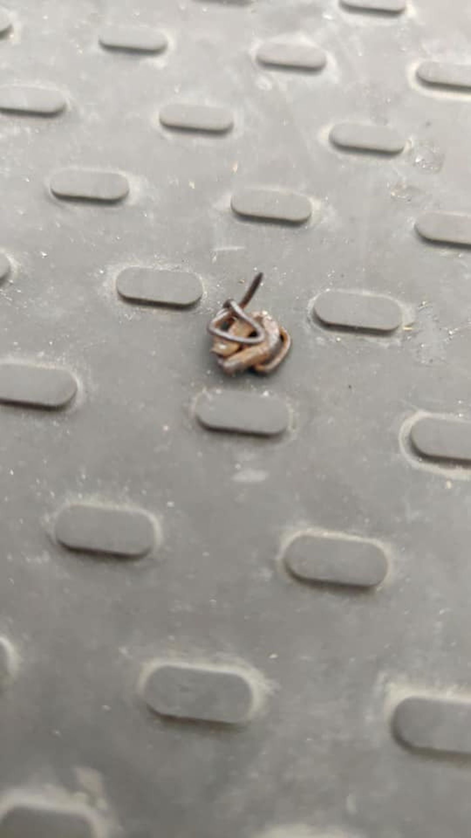 Un objeto punzante clavado en la llanta de la bicicleta  de un usuario afectado por uno de estos posibles sabotajes