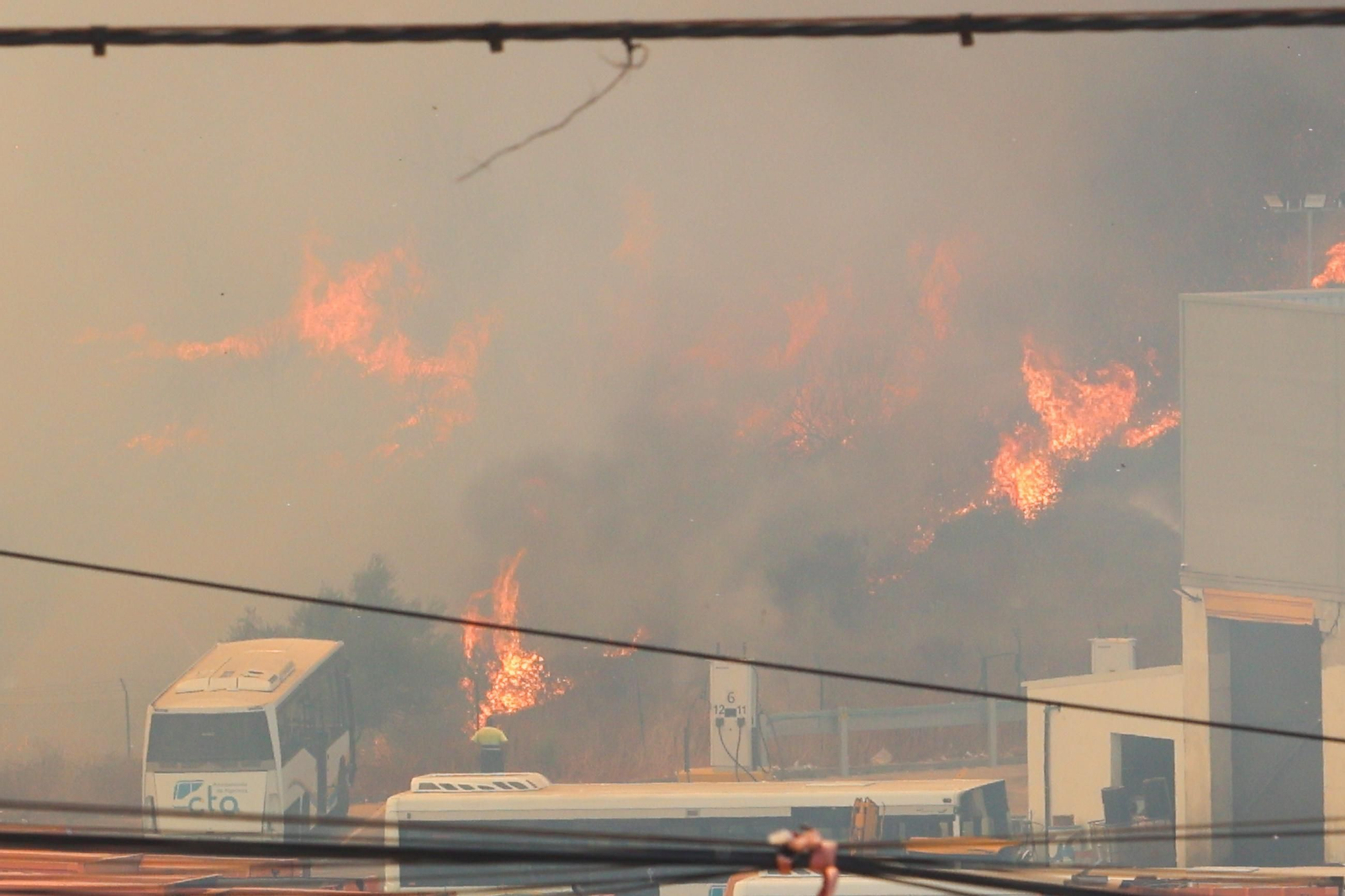 Las fotografías del incendio en el paraje de Botafuegos, en Algeciras