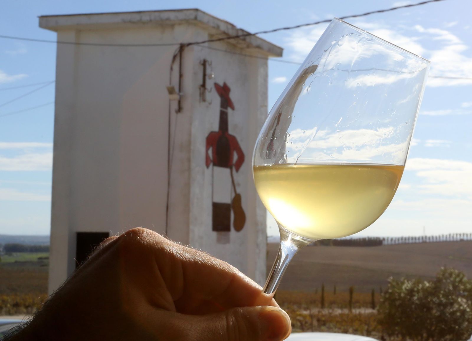 Imágenes del primer mosto del año de González Byass