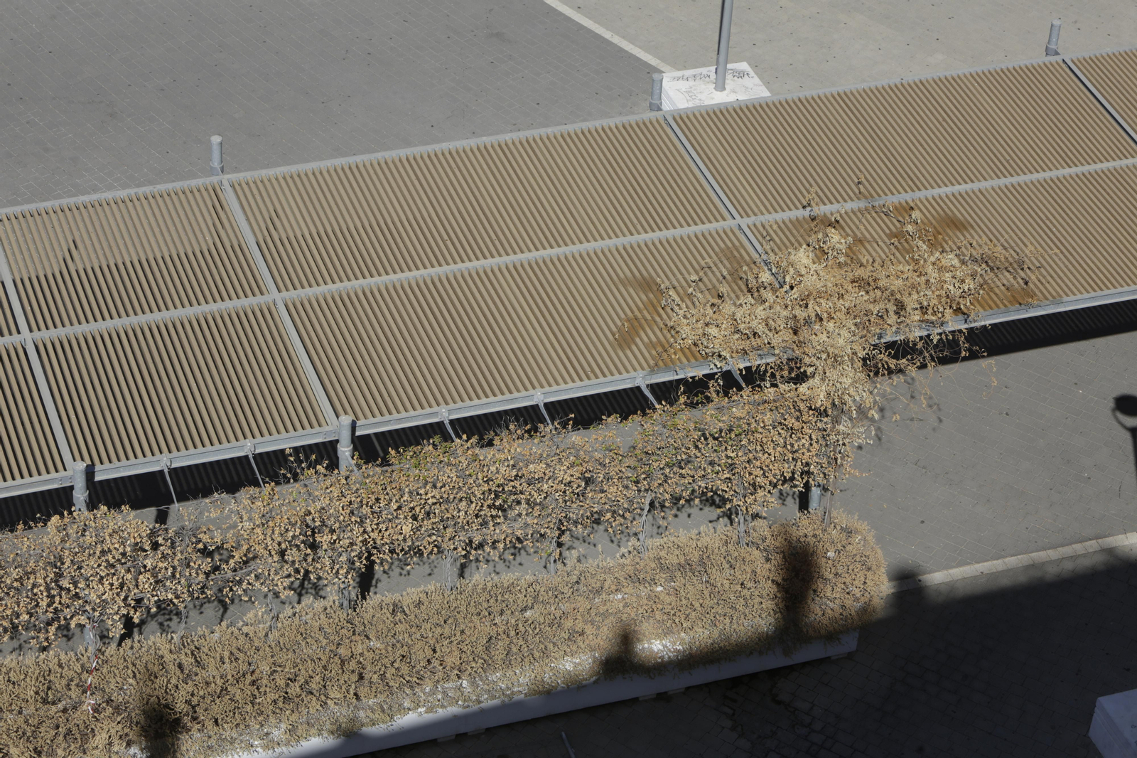 Abandono y mal estado de la plaza entre Mercadona y Plaza de Armas