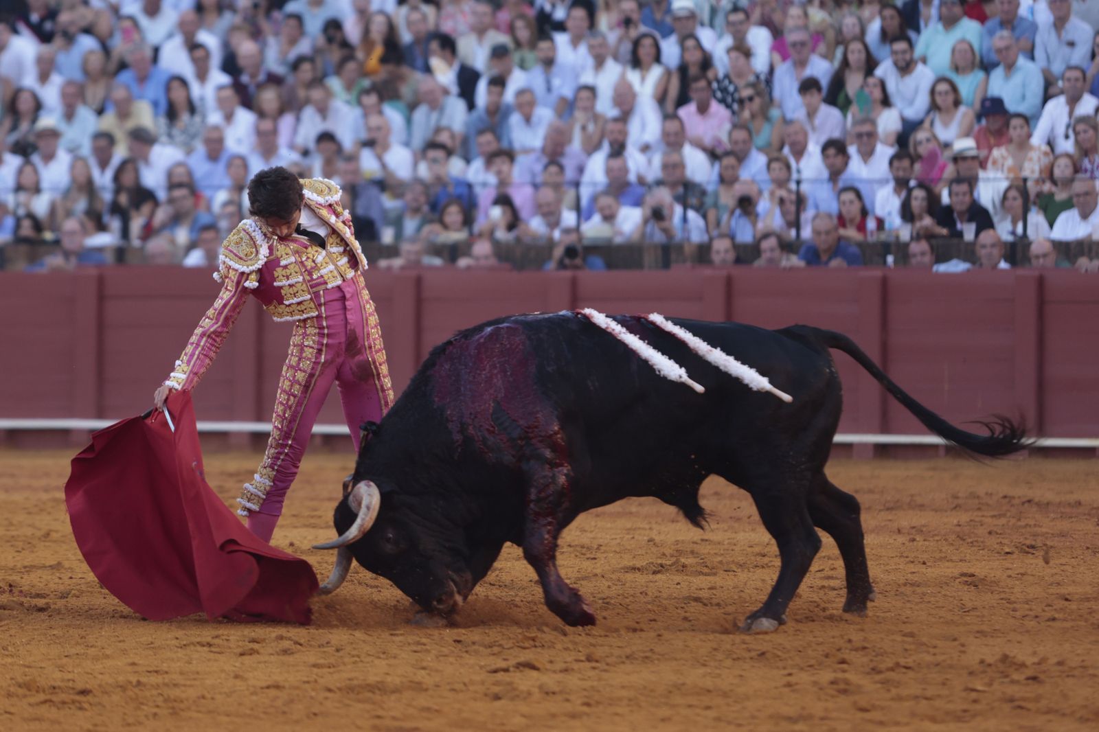 El triunfo de Castella en imágenes
