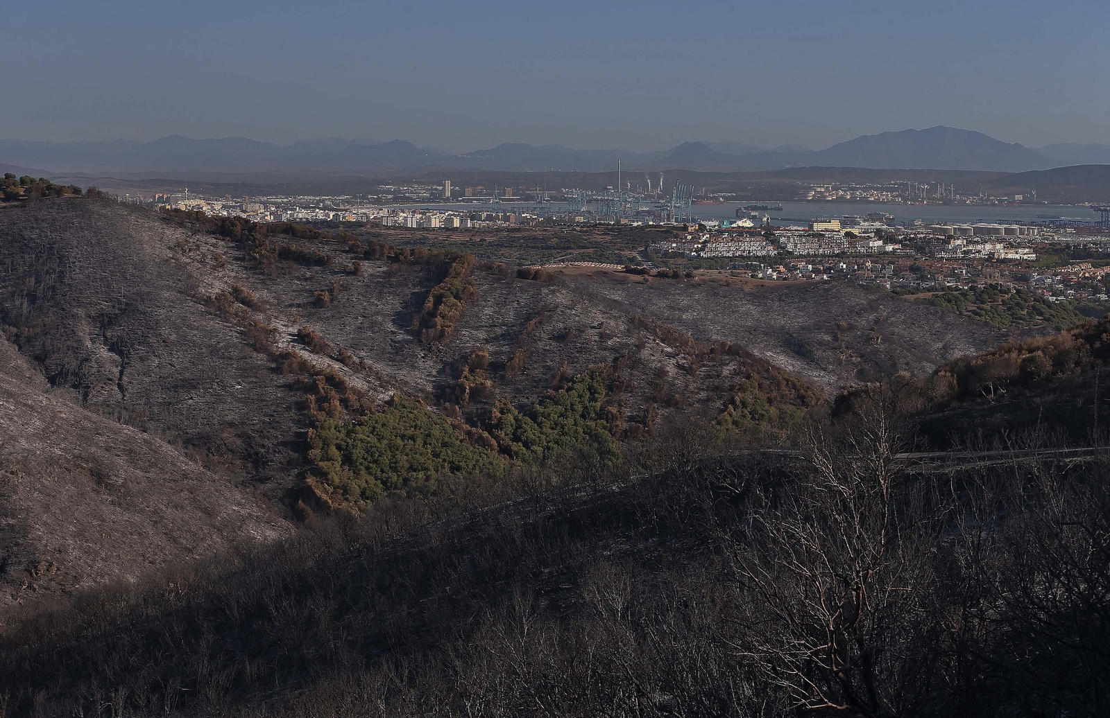 El impacto del incendio forestal de Algeciras, en imágenes