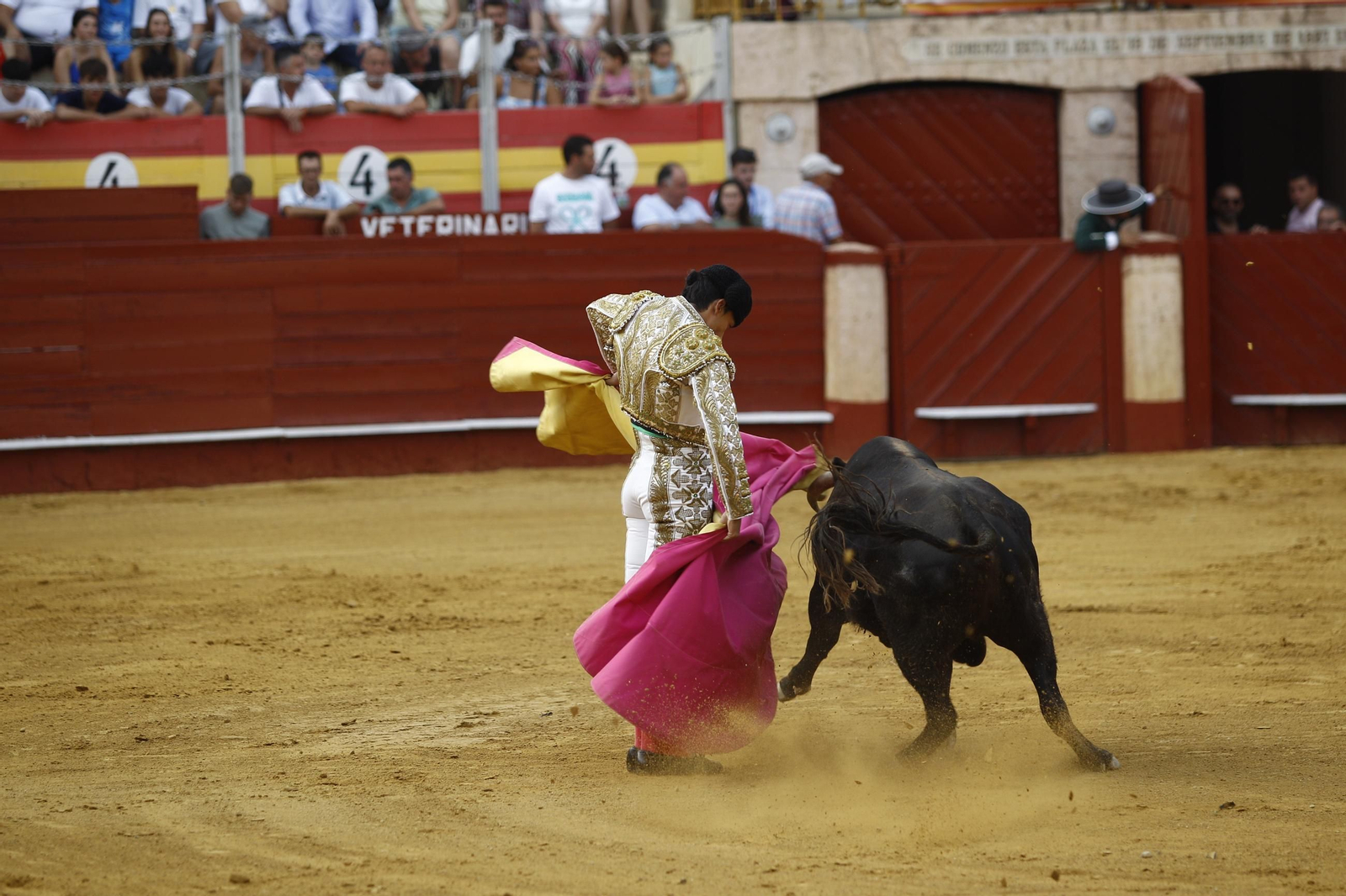 Las mejores imágenes de la clase práctica de la Escuela Municipal Taurina de Almería