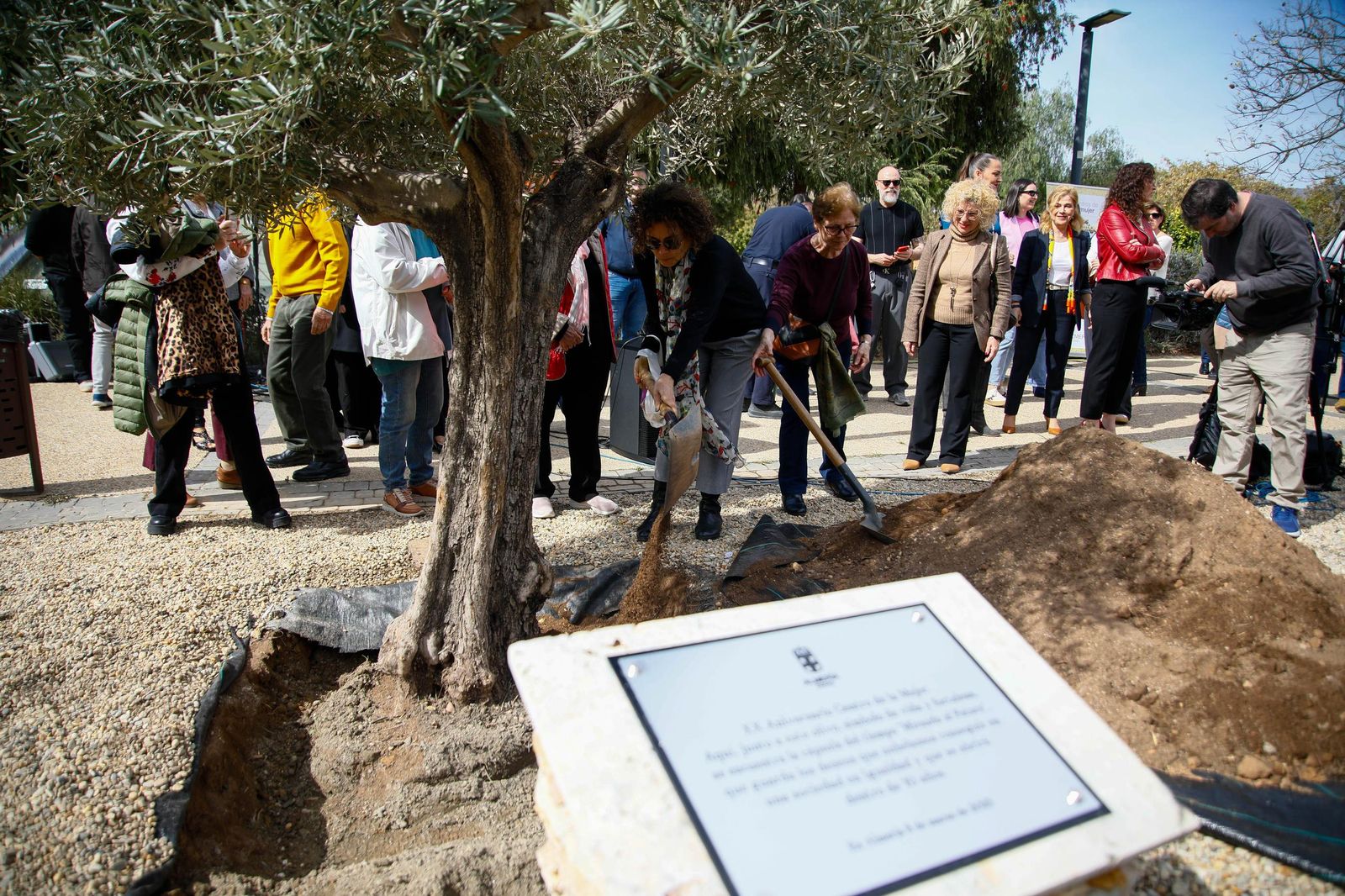 Las imágenes de la plantación de un olivo y el entierro de una cápsula del tiempo