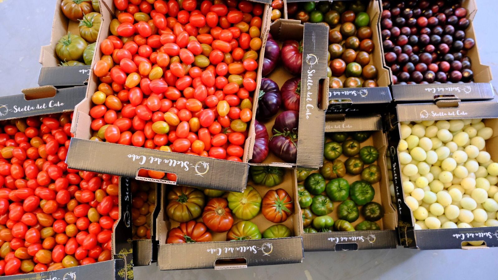 Distintas variedades de tomate de la marca ‘Stella del Cabo de Gata’, de la que Dani es propietario.