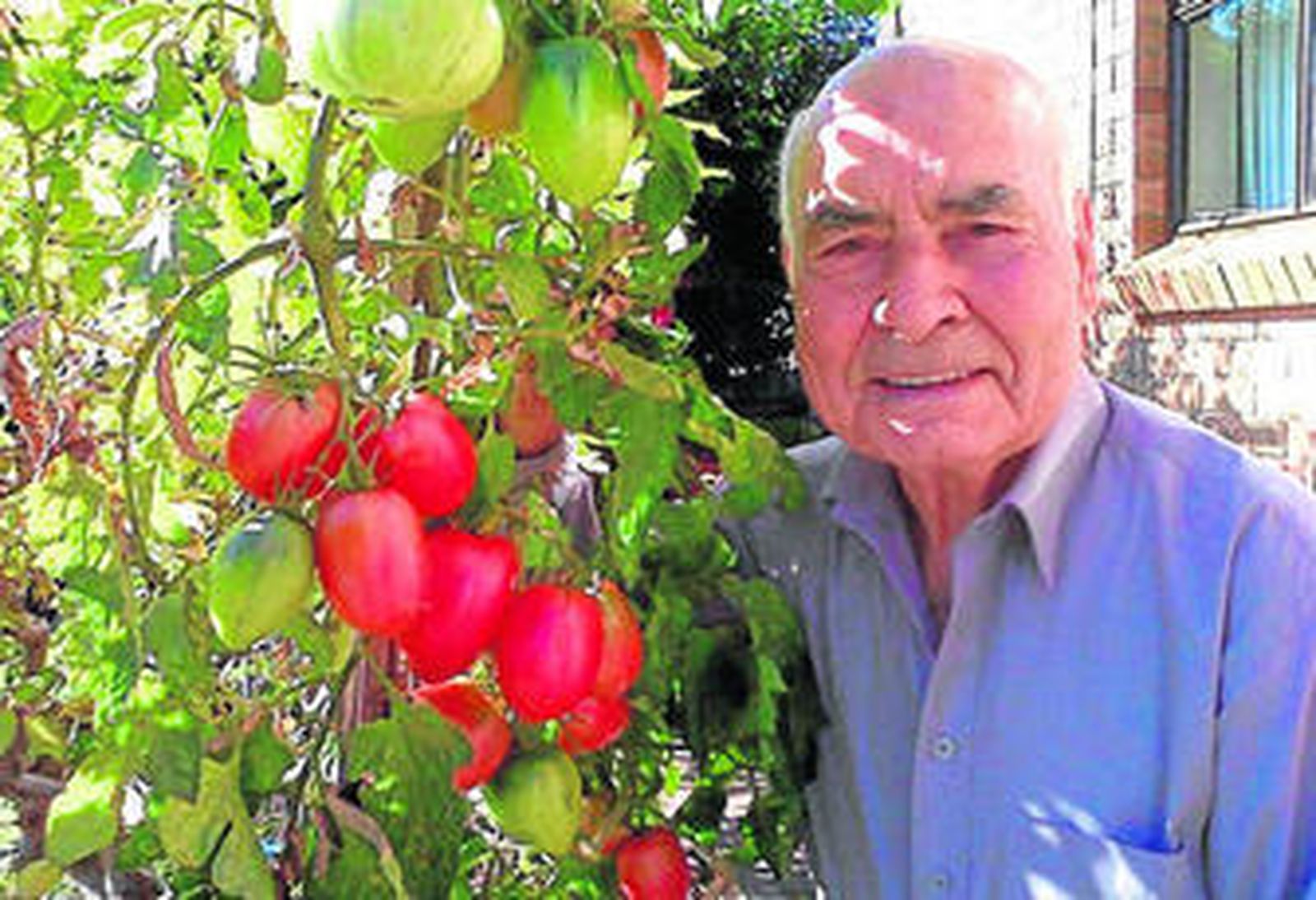 Entre verduras y el edén