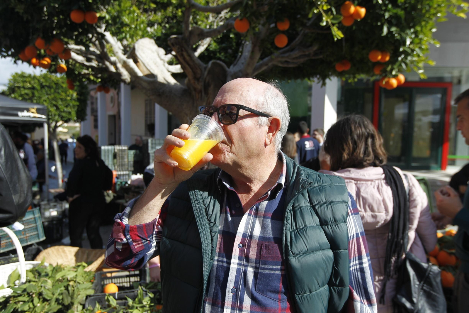 Fotogalería Día de la Naranja en Gádor