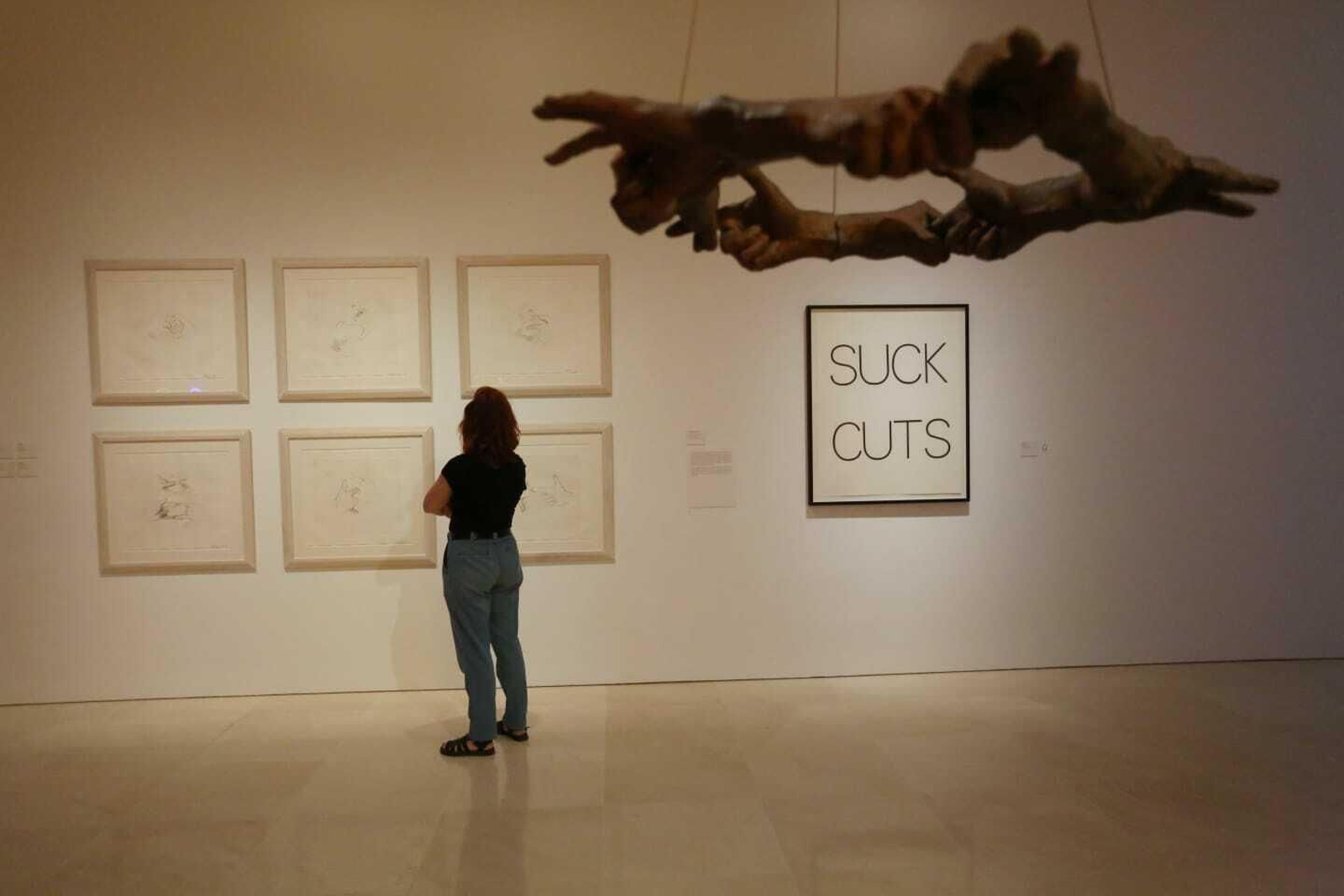 Fotos de la exposición de Bruce Nauman en el Museo Picasso Málaga
