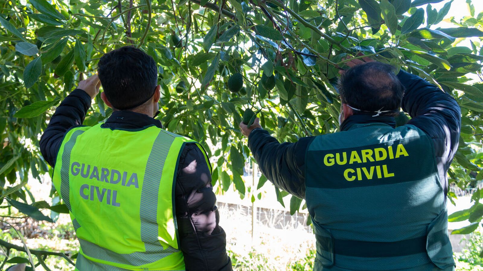 Imagen de archivo del Grupo Roca de Motril durante un operativo