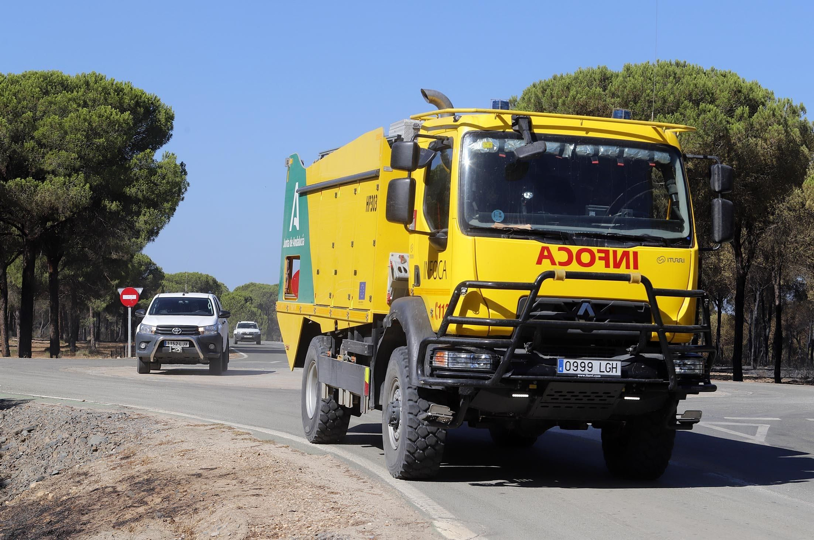 Imágenes de las zonas afectadas por los incendios de Almonte y Bonares