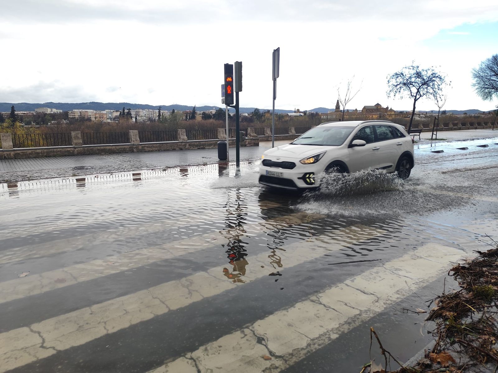 Las imágenes de los destrozos de la borrasca Kristin en Córdoba: árboles arrancados y desprendimientos de tejados y fachadas