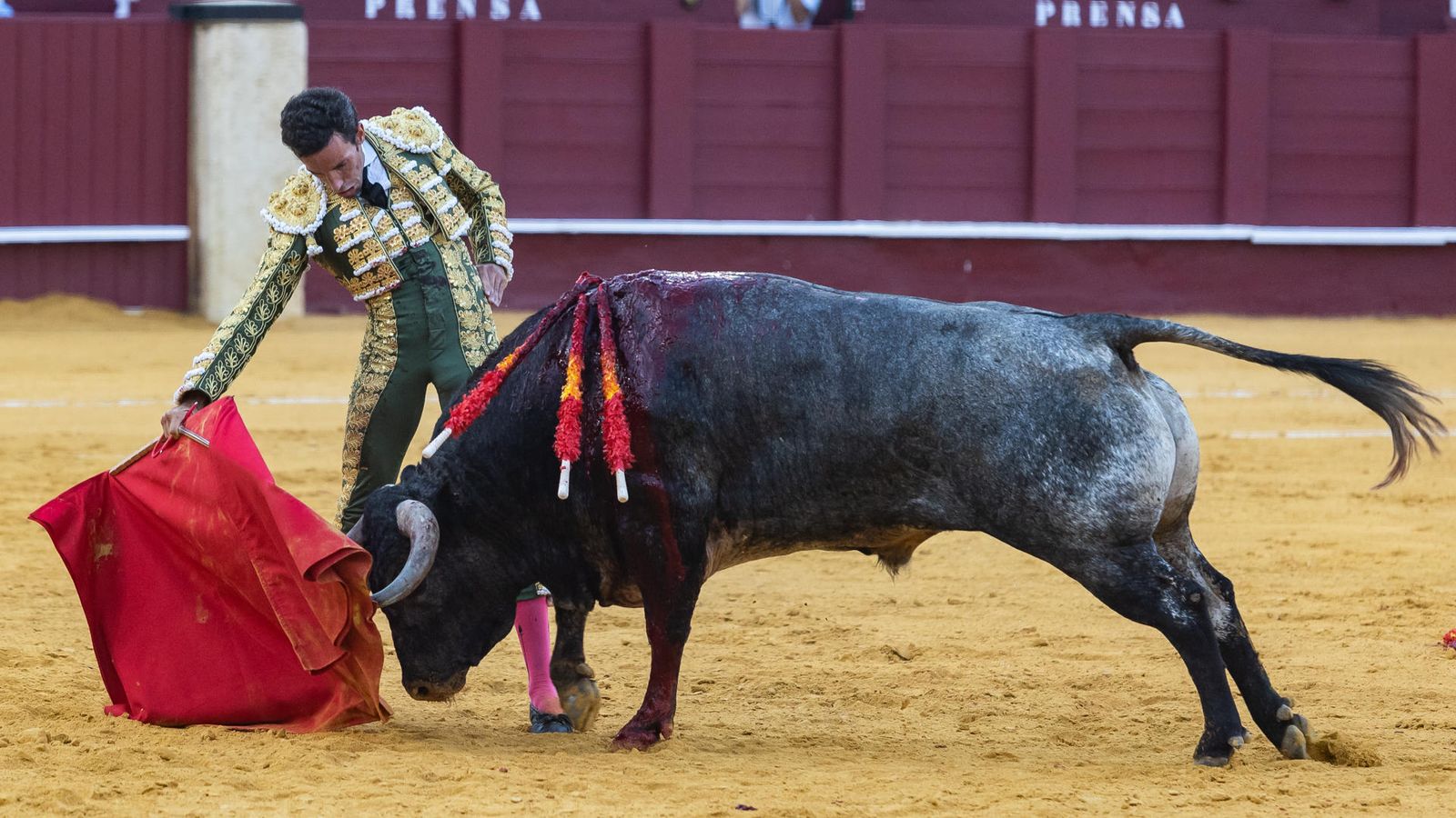 El matador David de Miranda, durante la lidia de su primer toro.