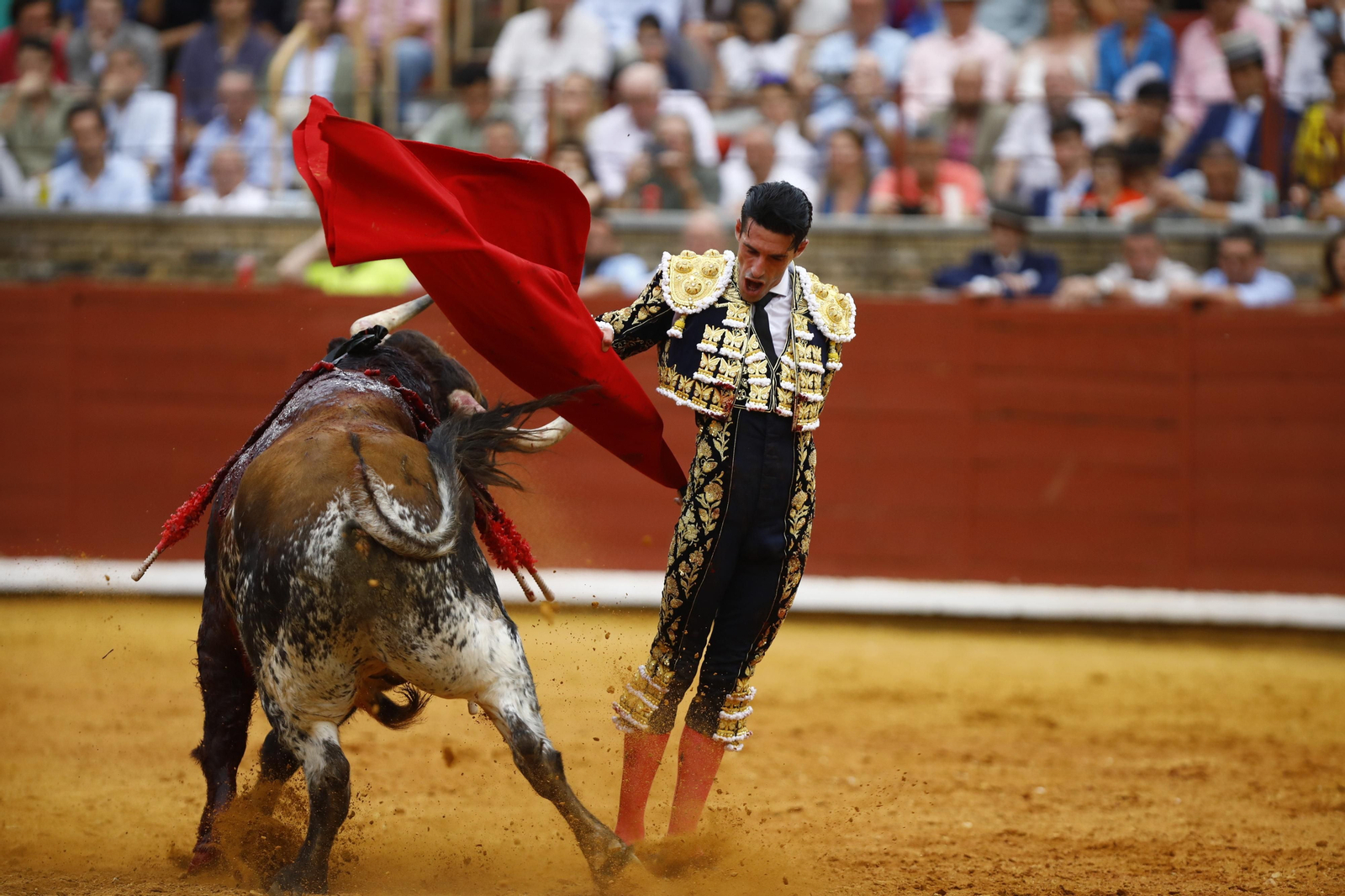 La corrida de Talavante, Roca Rey y Lagartijo, en Córdoba, en imágenes