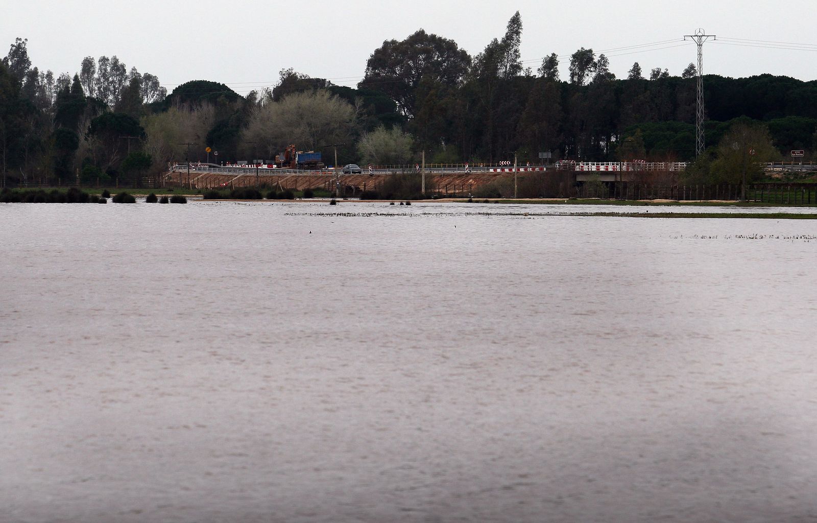 Marismas del Rocío.