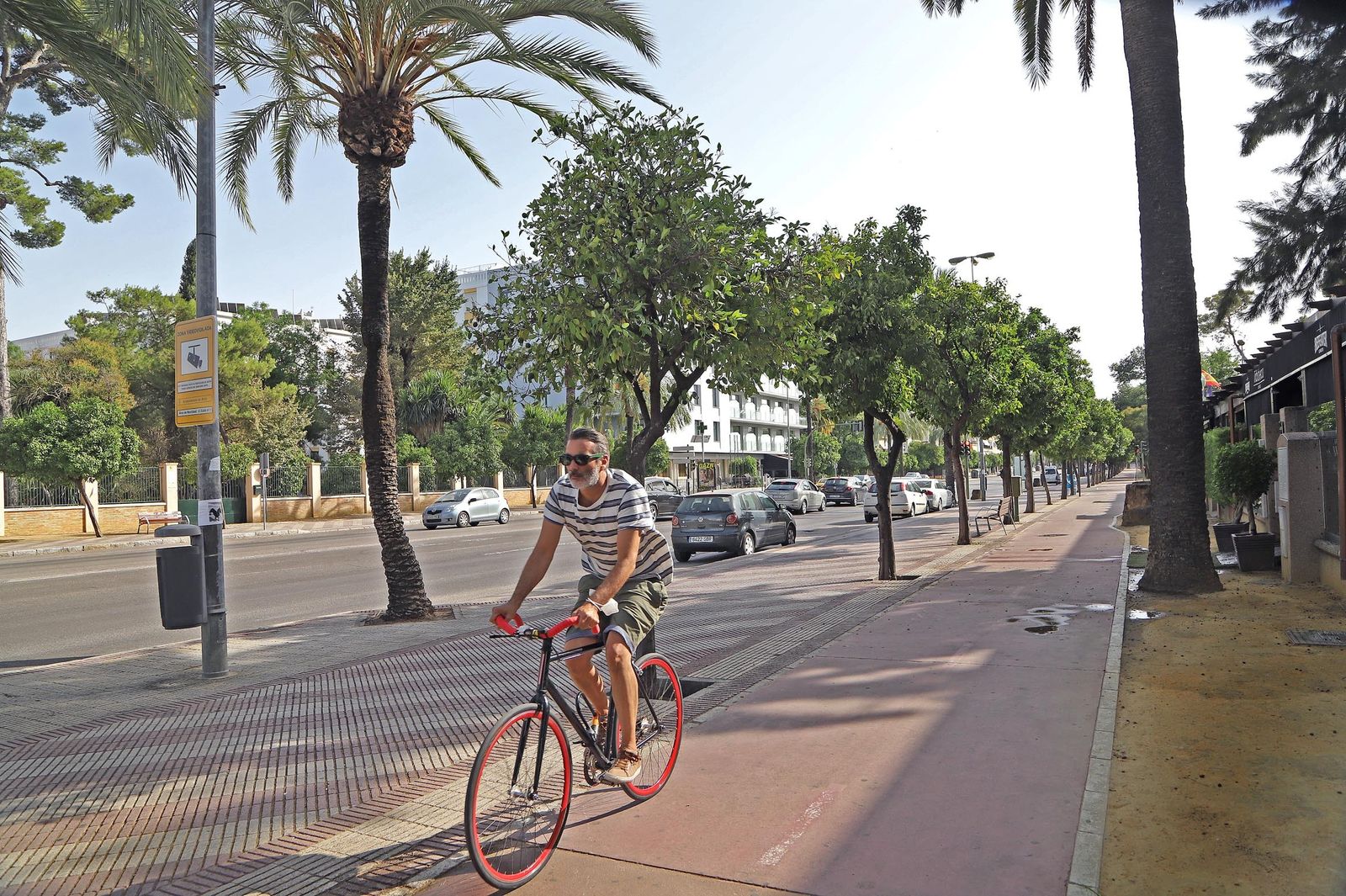 La avenida Alcalde Álvaro Domecq, sin motoristas.