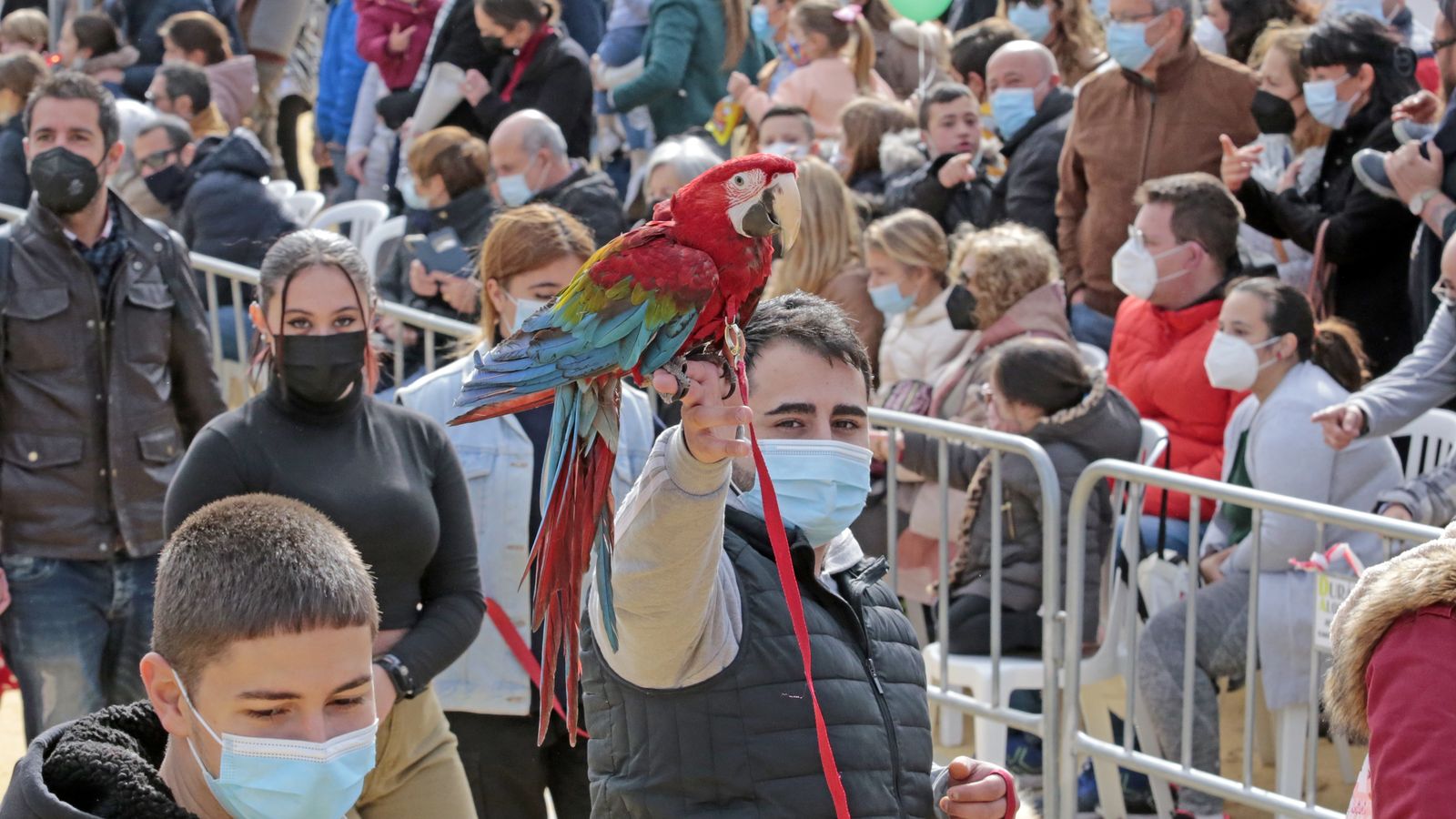 Imágenes de la 'Fiesta de San Antón 2022'