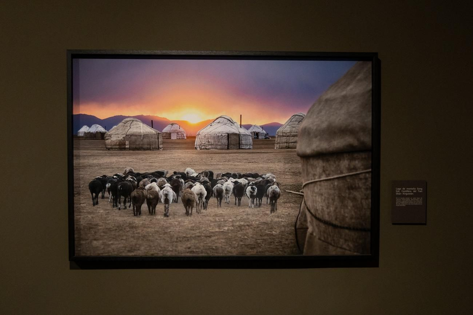 One Health en imágenes: la fotogalería de Katy Gómez que te hará reflexionar sobre la salud global