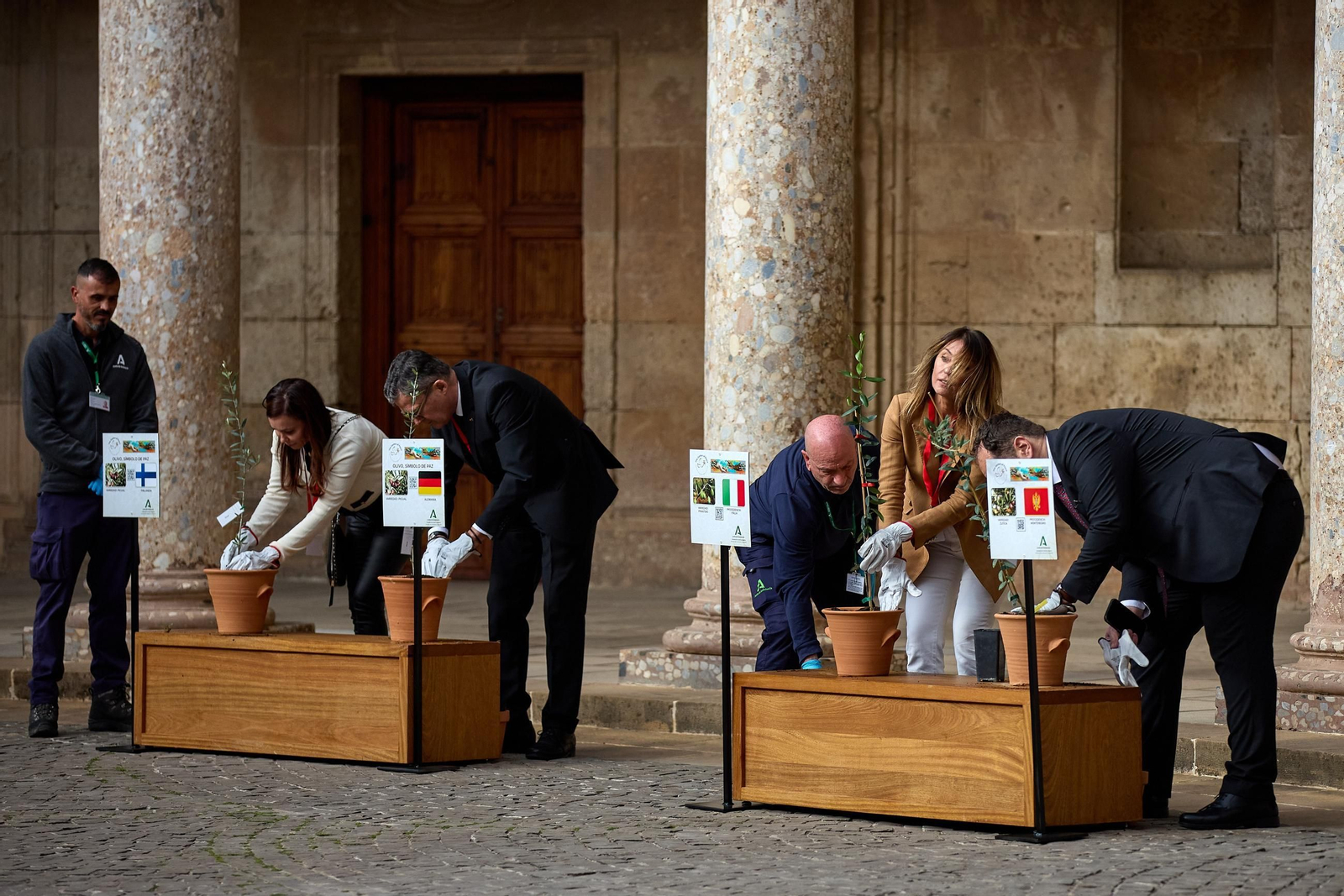 Todas las imágenes de la plantación del jardín de la paz en la Alhambra de Granada
