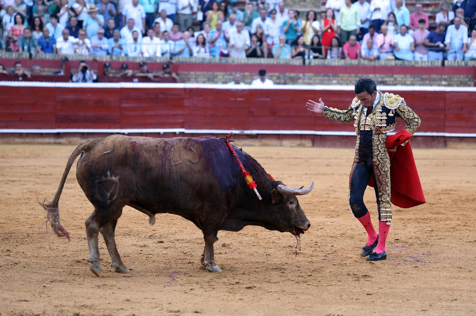 Toros La Merced 2025: Imágenes de la corrida de David de Miranda, Marco Pérez y Borja Jiménez