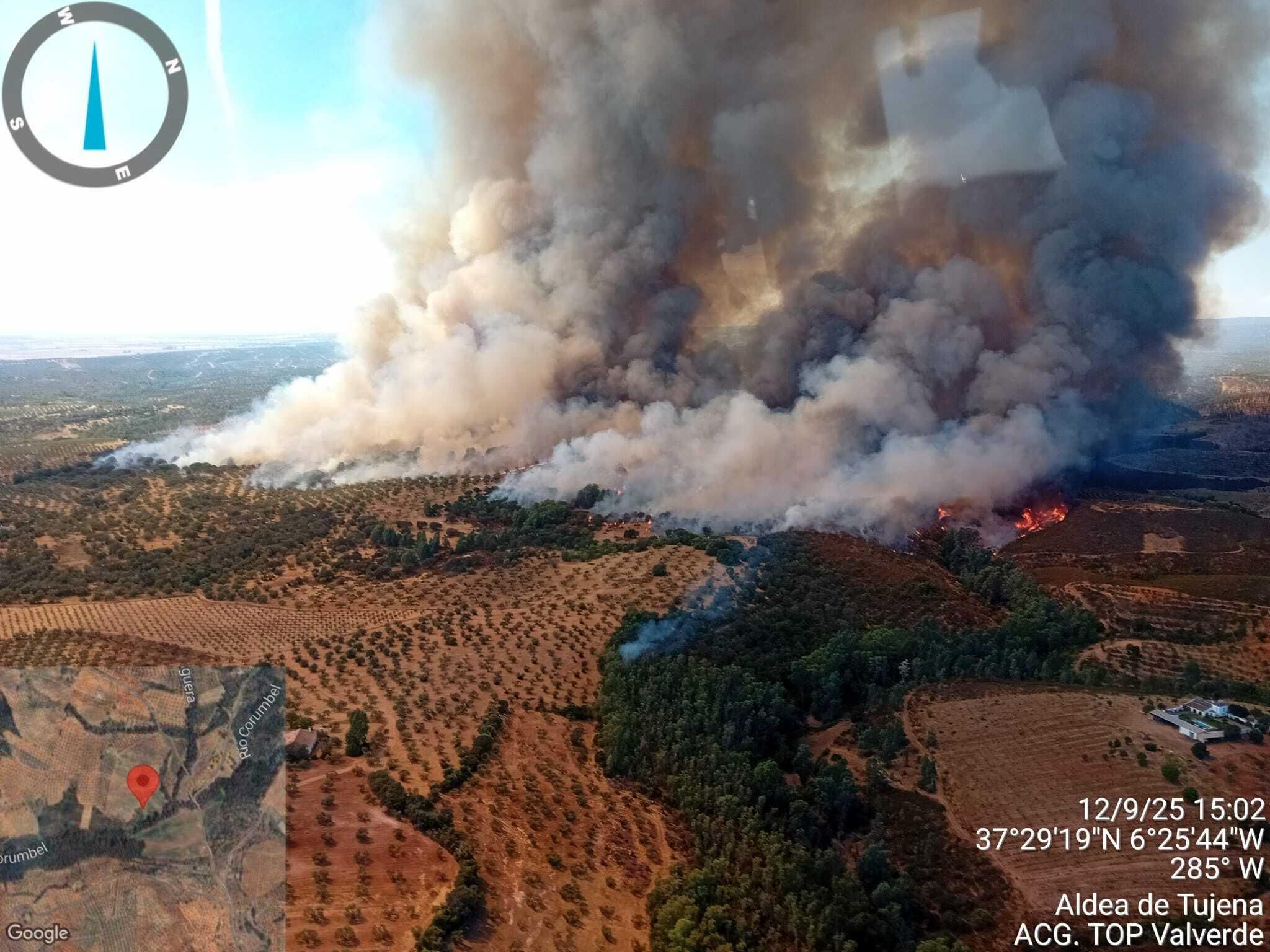 Más de una veintena de medios terrestres y aéreos combaten un incendio forestal en Paterna del Campo