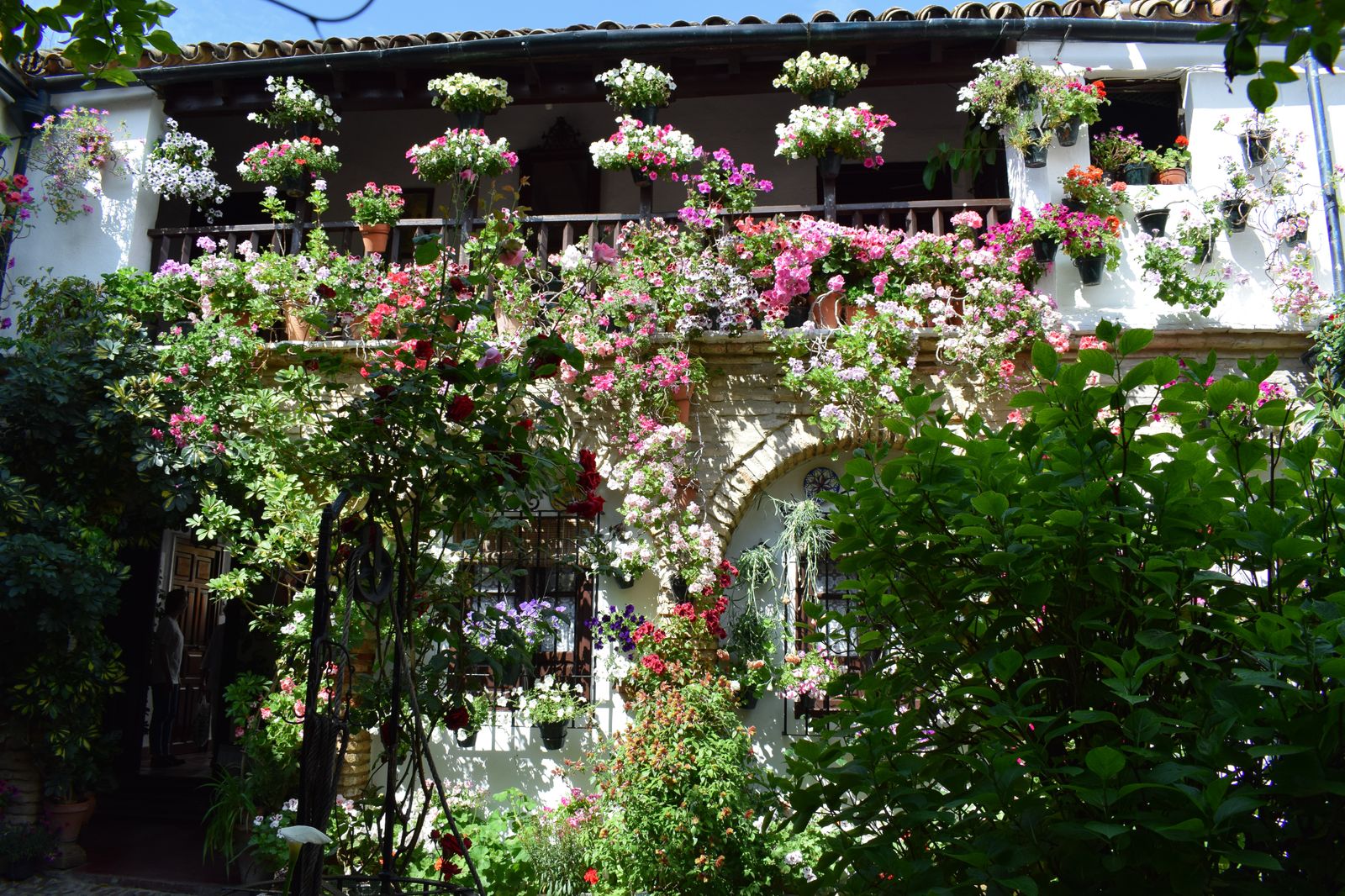 RUTA SANTA MARINA-SAN AGUSTÍN: PARRAS 6