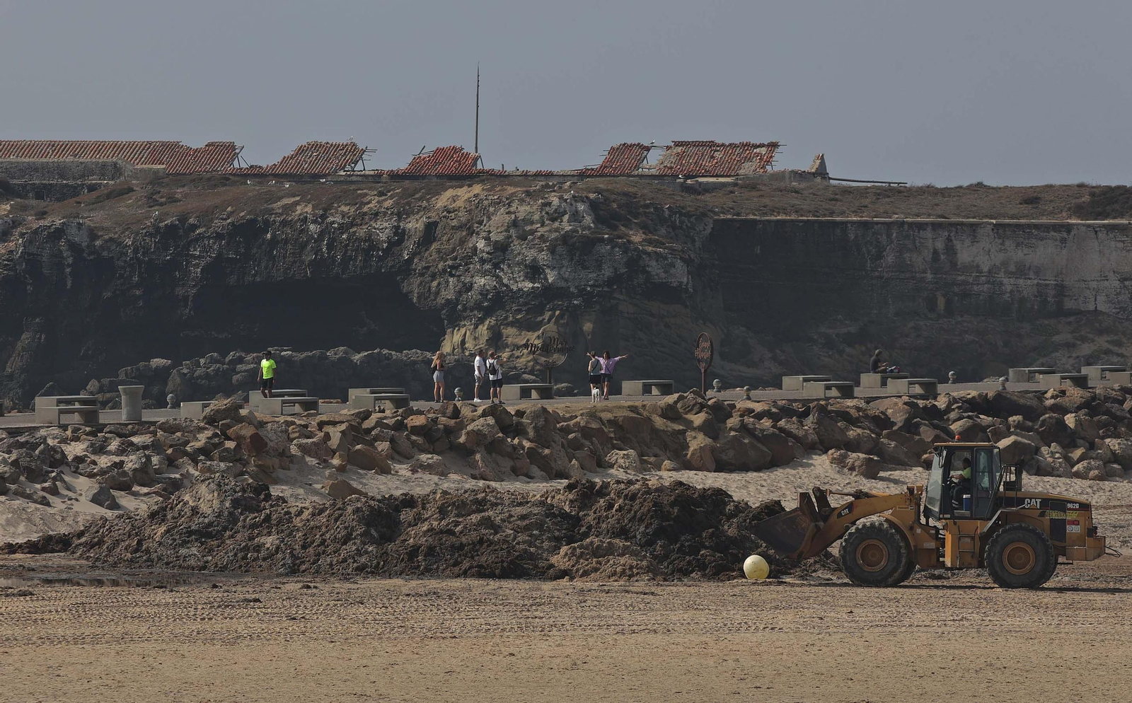 El alga invasora cubre de nuevo la playa de Los Lances en Tarifa