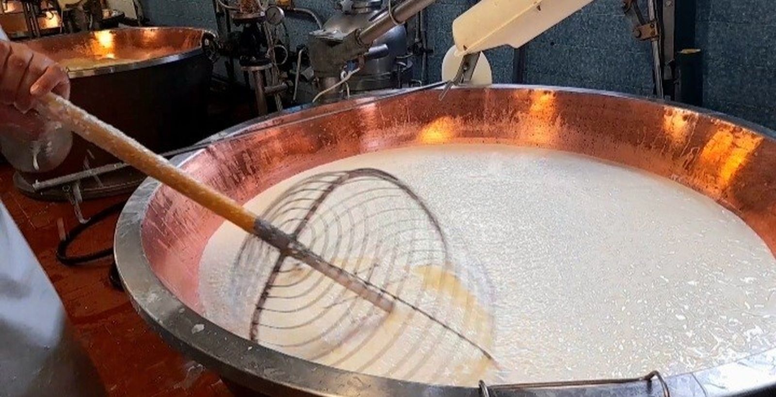 El batido de la leche de las vacas parmesanas en cuajo, base del queso parmigiano reggiano