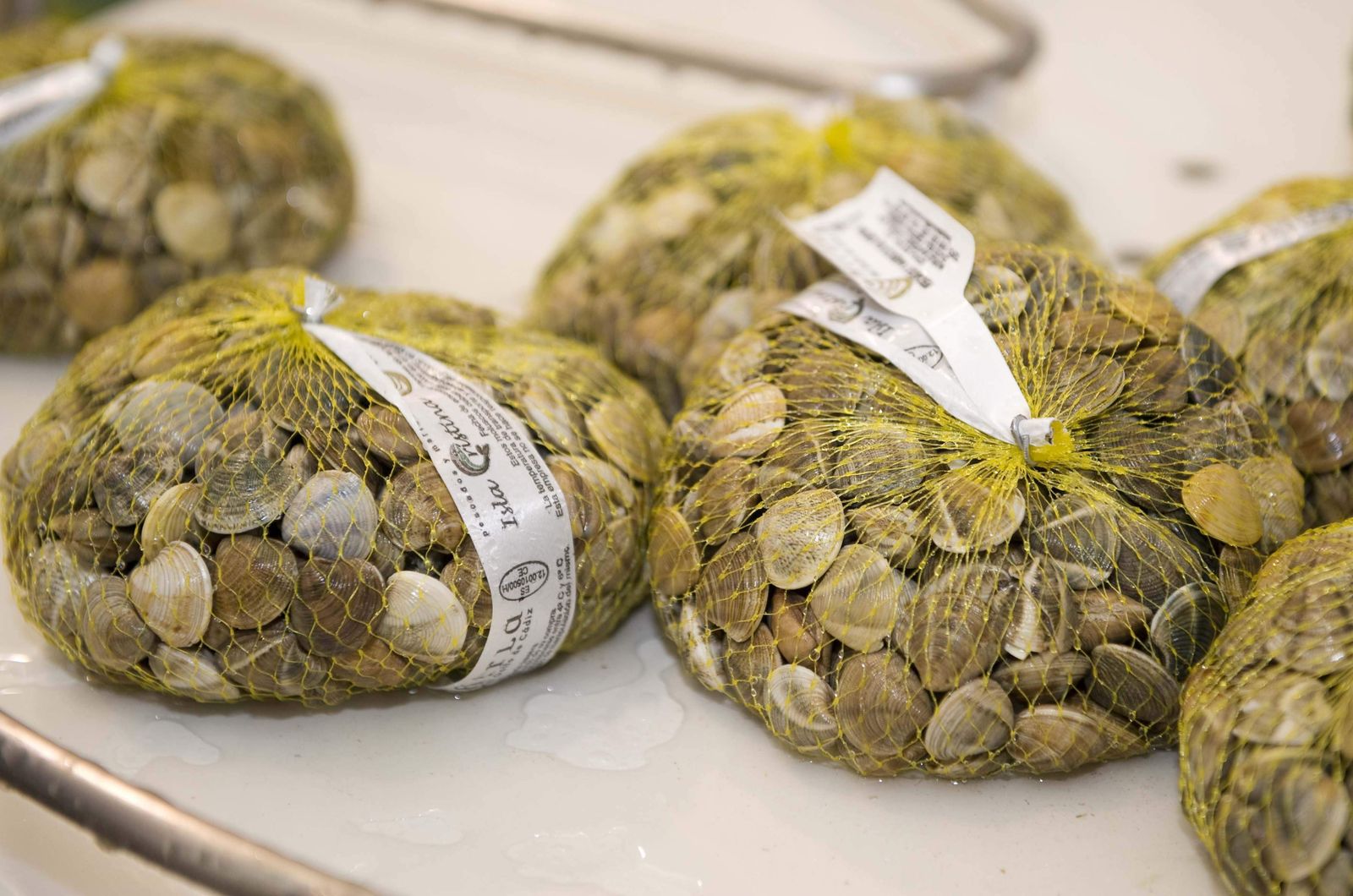 'Chamellea gallina'Chirlas con jamónChirlas al pimentónChirlas con anchoas