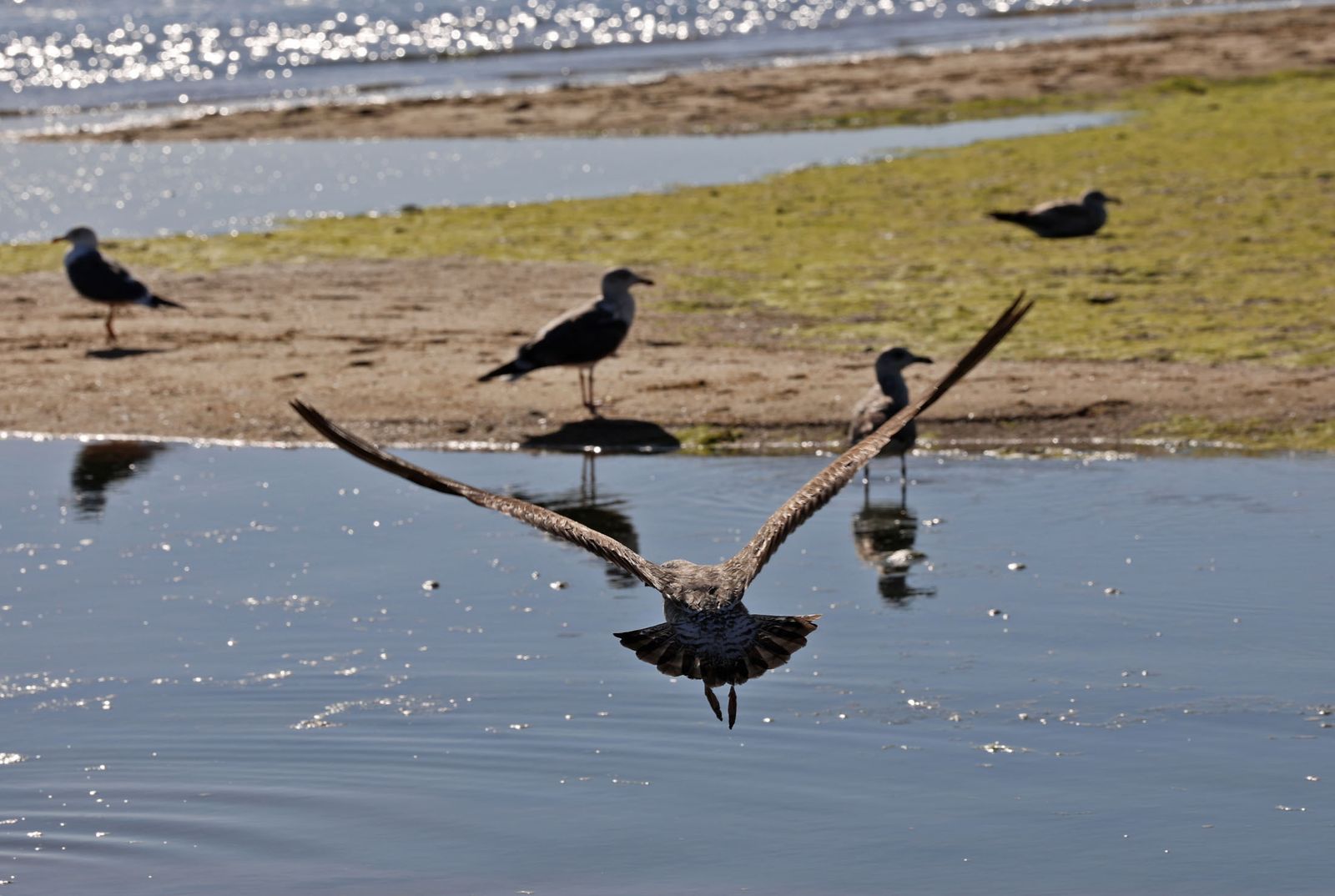 Las imágenes más destacadas del miércoles 28 de febrero en Huelva