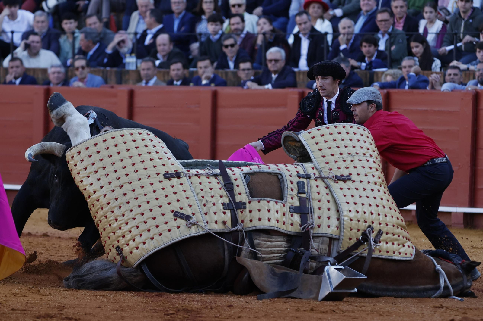 Las Imágenes del festejo