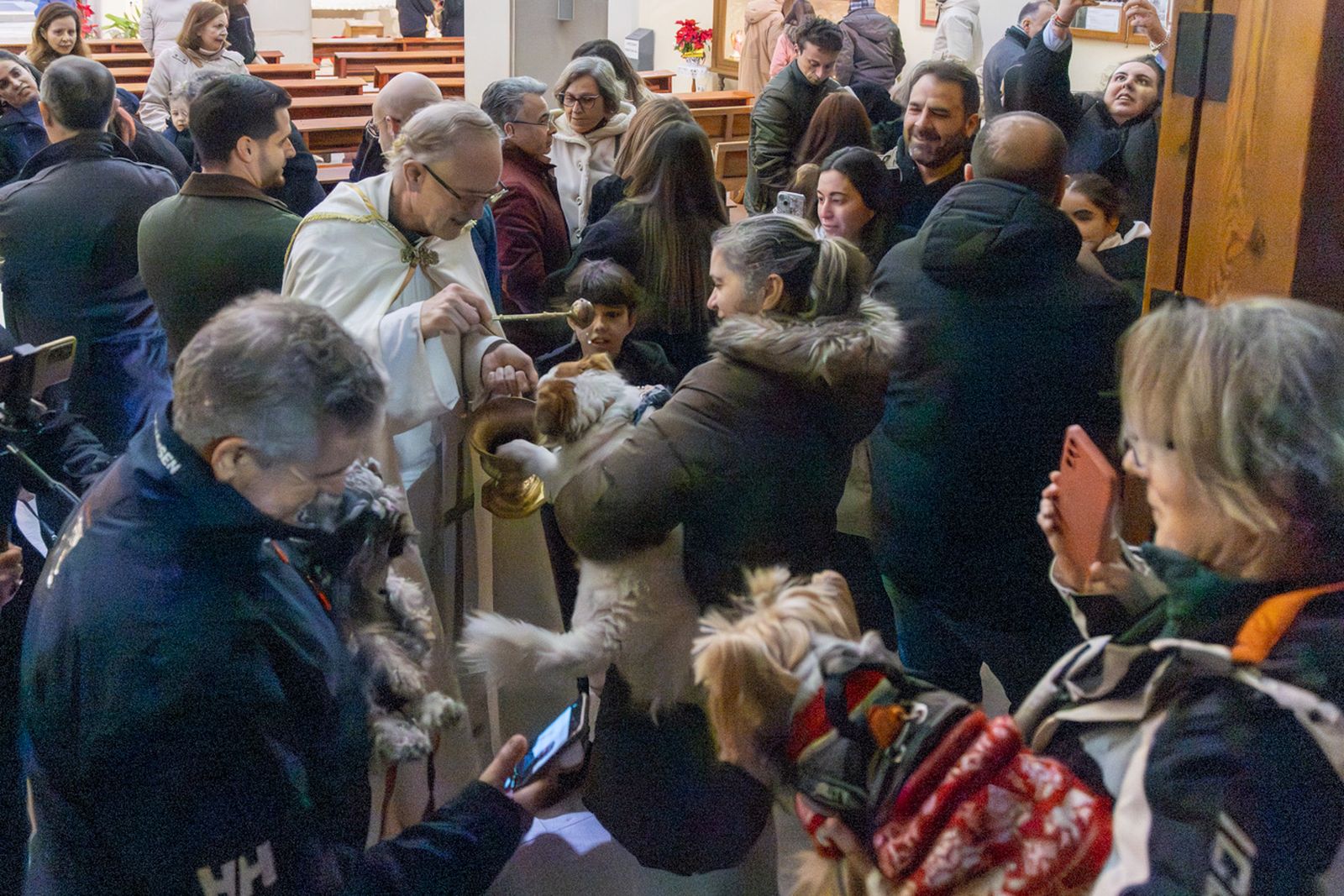 Encendido en Jaén de la lumbre oficial de San Antón 2026 y bendición de los animales