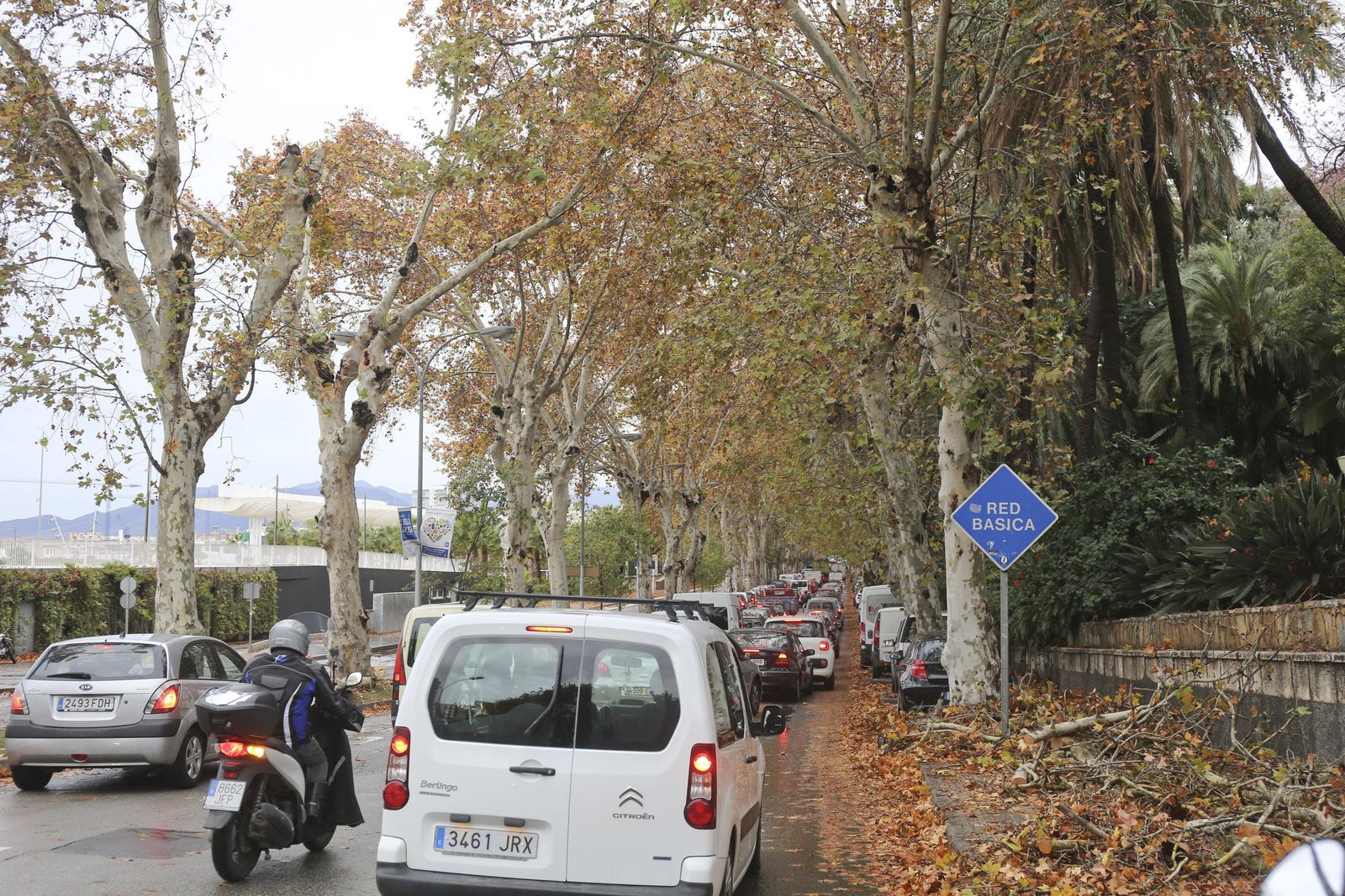 Las consecuencias del paso de 'Ana' por Málaga