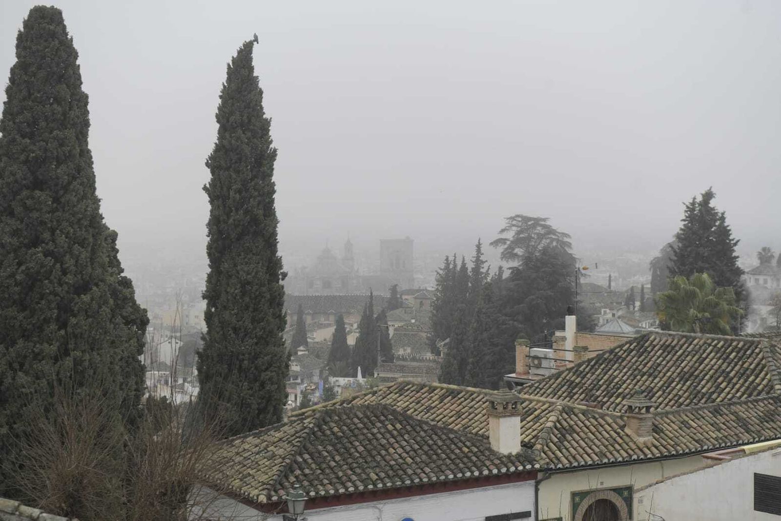 La niebla que ha cubierto Granada este miércoles, en imágenes