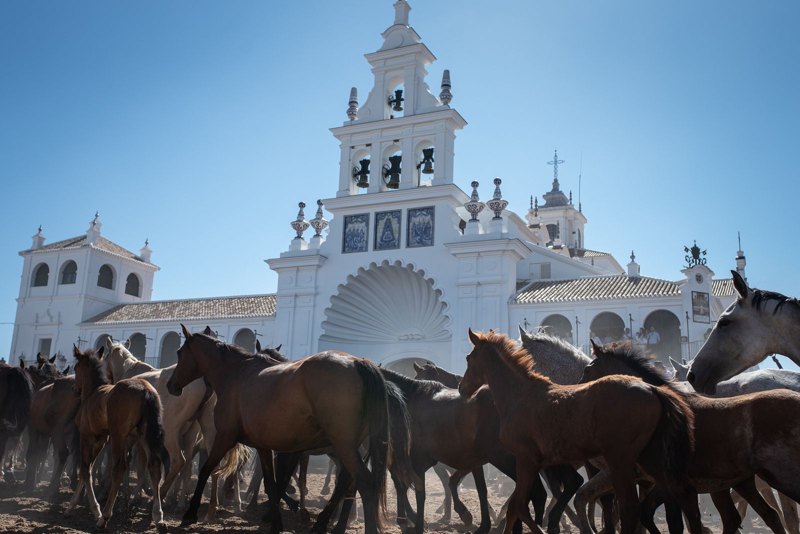 Imágenes de la Saca de las Yeguas a su paso por El Rocío