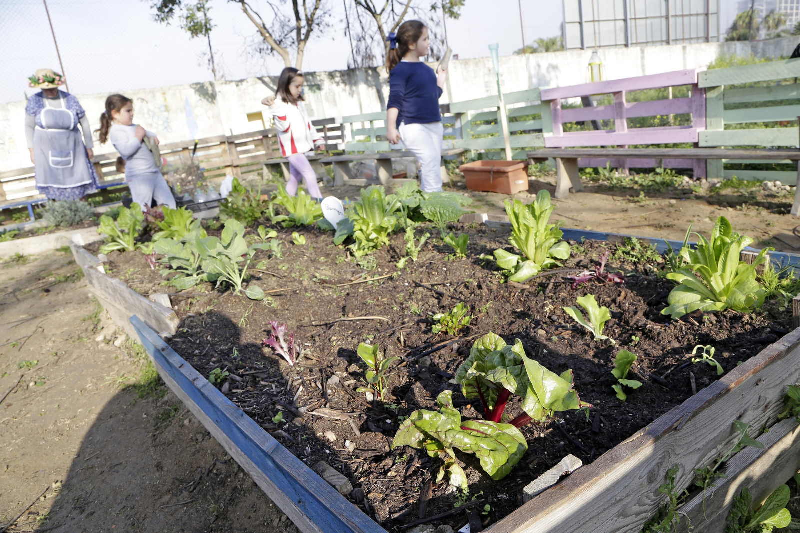 Una imagen del huerto escolar del colegio San Juan de Dios. Una imagen del huerto escolar del colegio San Juan de Dios.