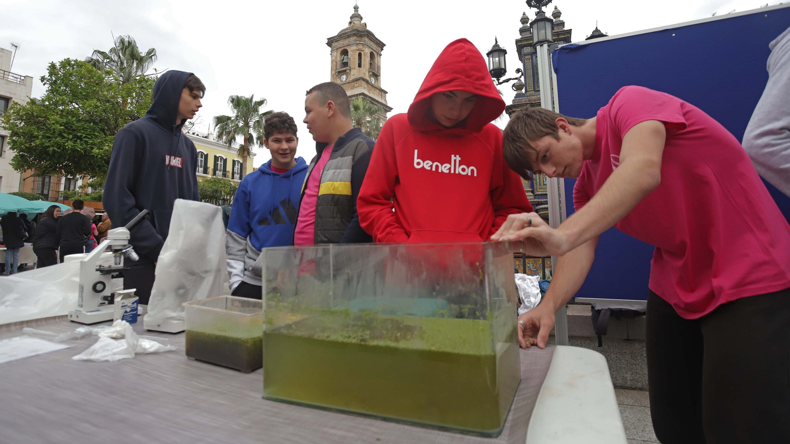 Fotos de la inauguración de Diverciencia 2022 en Algeciras