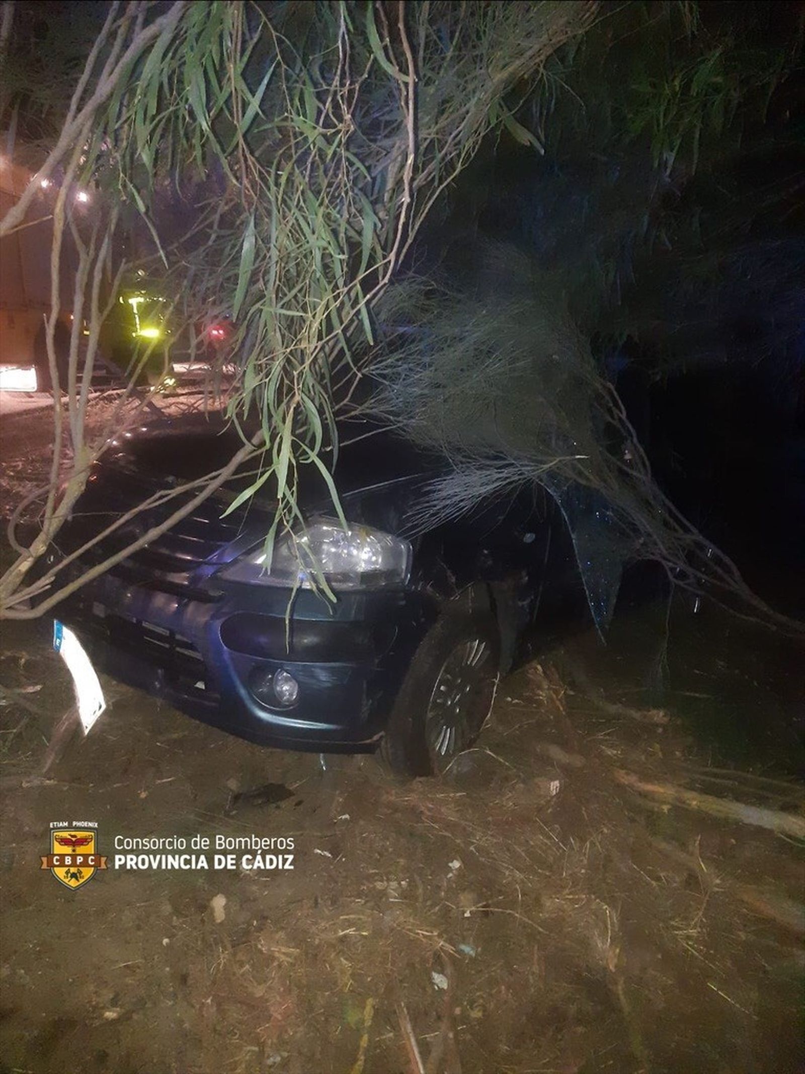 Imagen del vehículo accidentado.