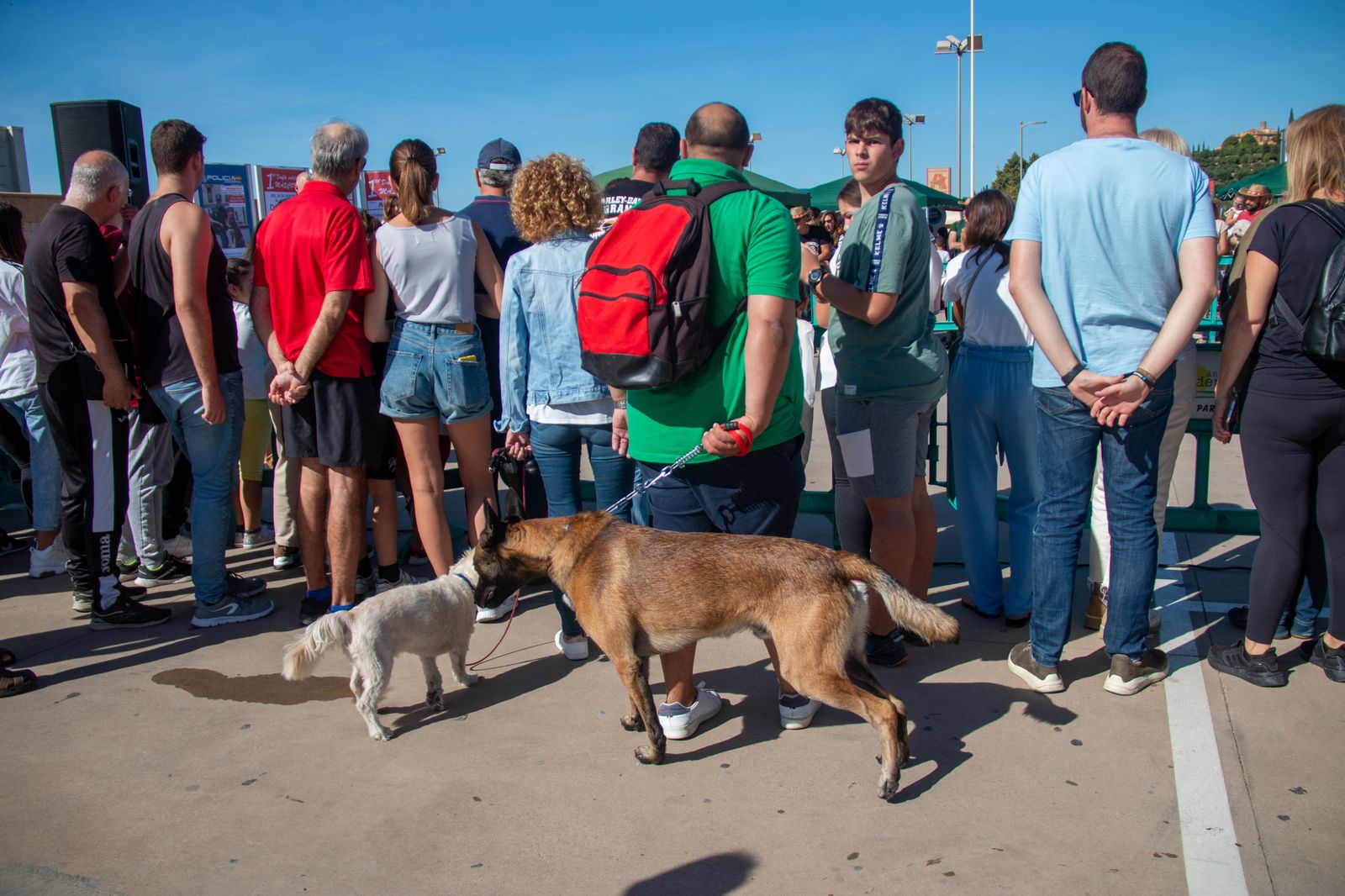 ¿Has estado en el primer desfile solidario de mascotas celebrado en Motril?