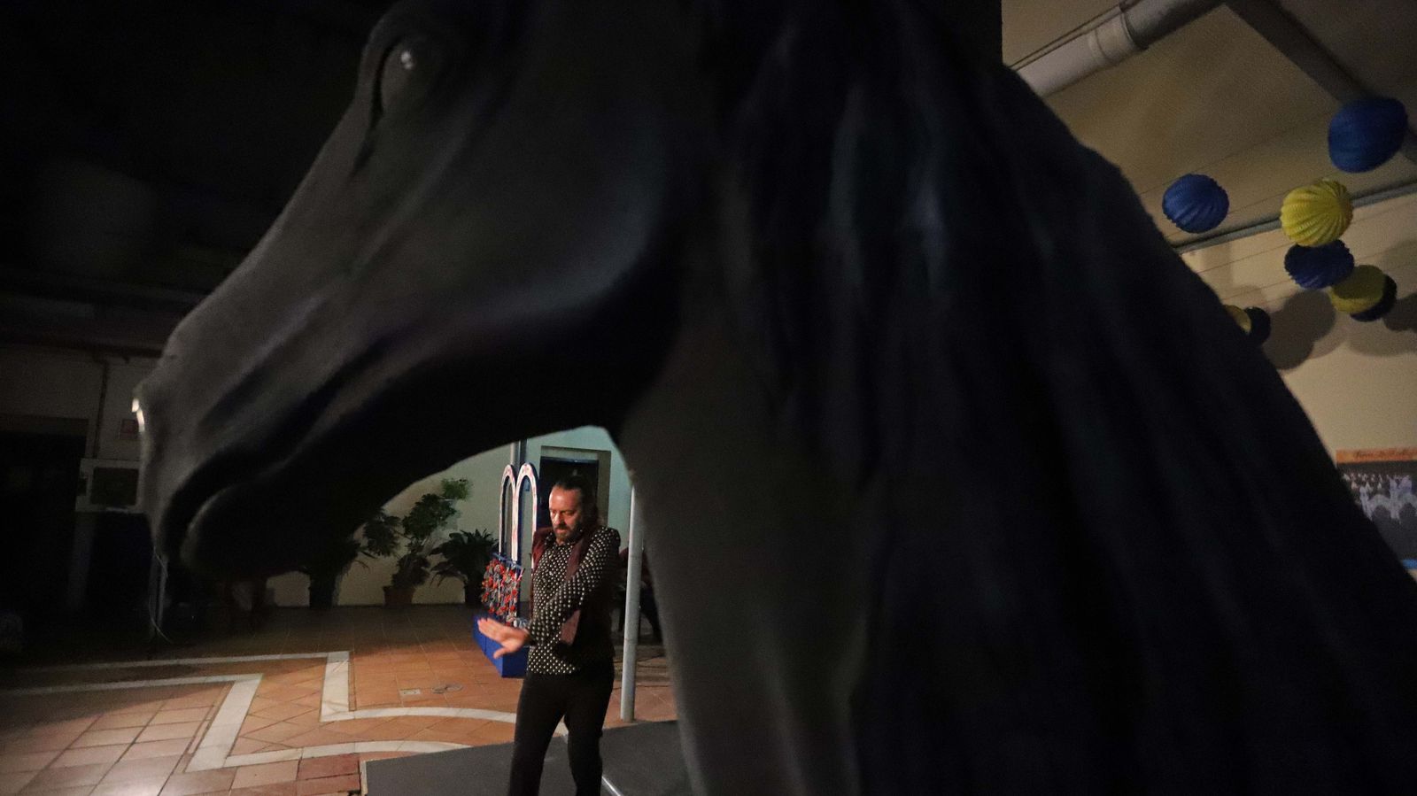 Fotos del Flamenco Tour en Algeciras