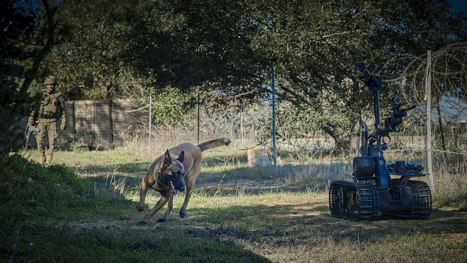 Maniobras Canex con unidades caninas de las Fuerzas Armadas, Policía y Guardia Civil