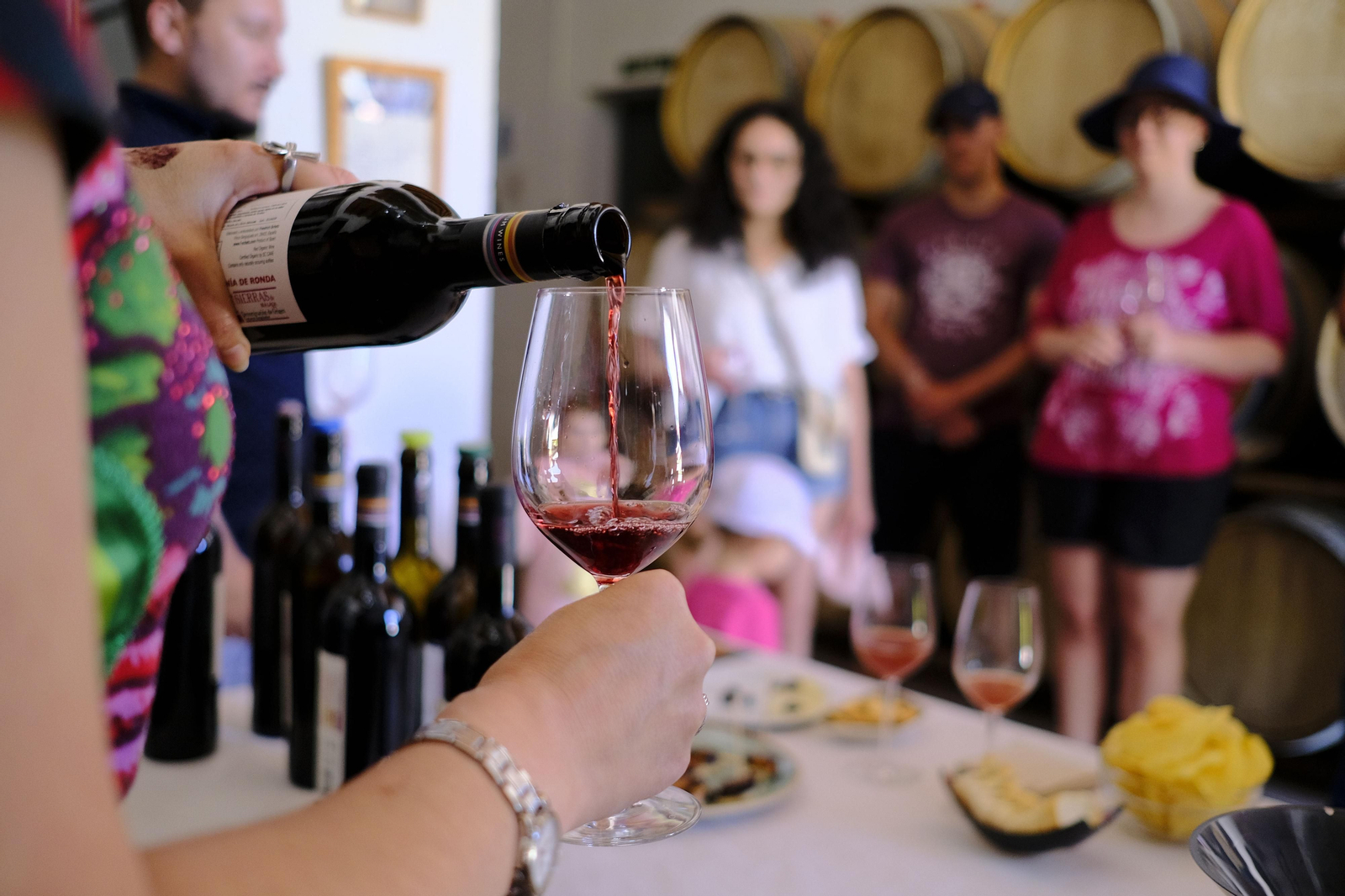 El regreso del turismo extranjero a las bodegas rondeñas, en fotos