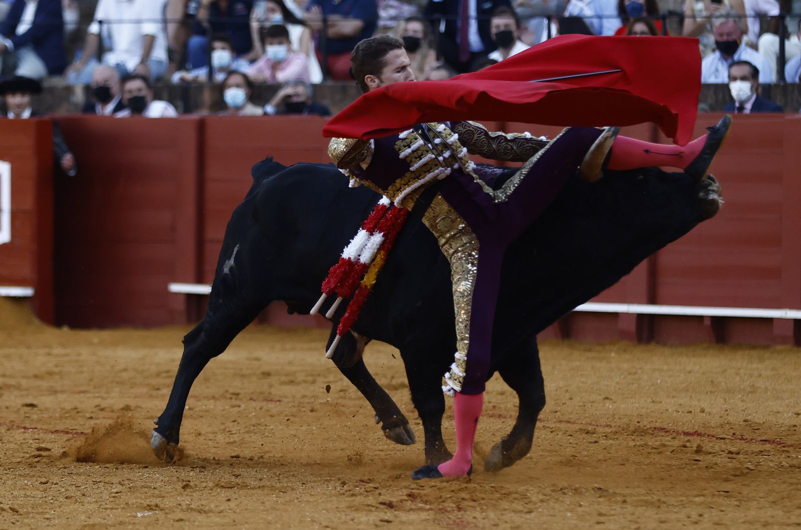 Fotos de la segunda novillada de la feria de San Miguel de Sevilla