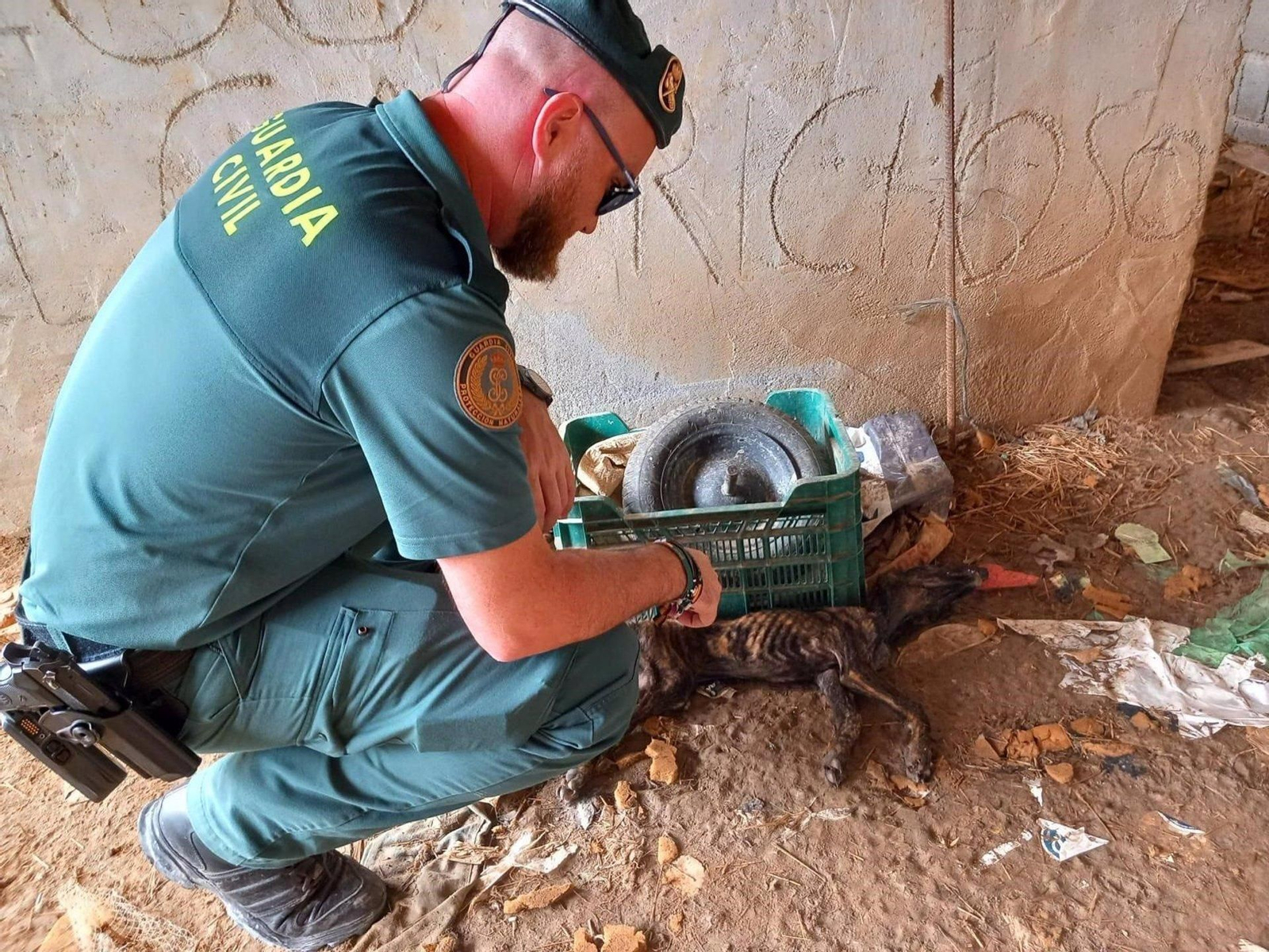 Agente de la Guardia Civil junto a uno de los perros.