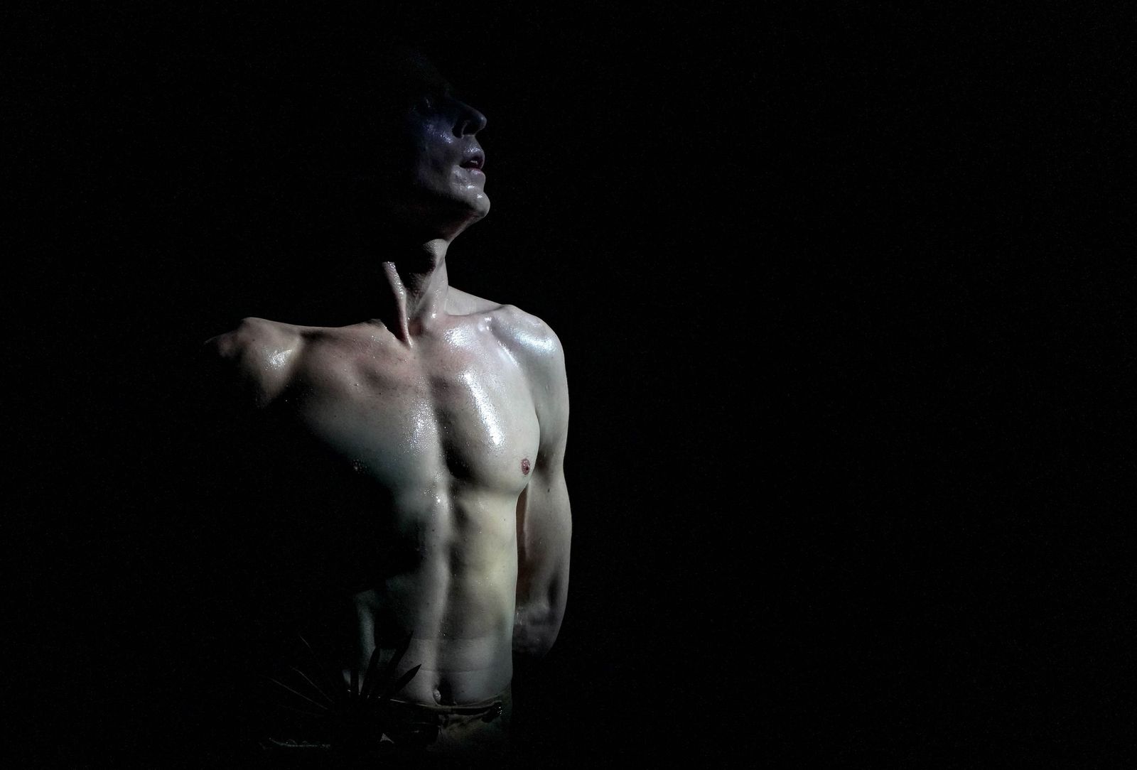 Imágenes de Sergio Bernal Dance Company 'Rodin', 30ª Festival de Jerez