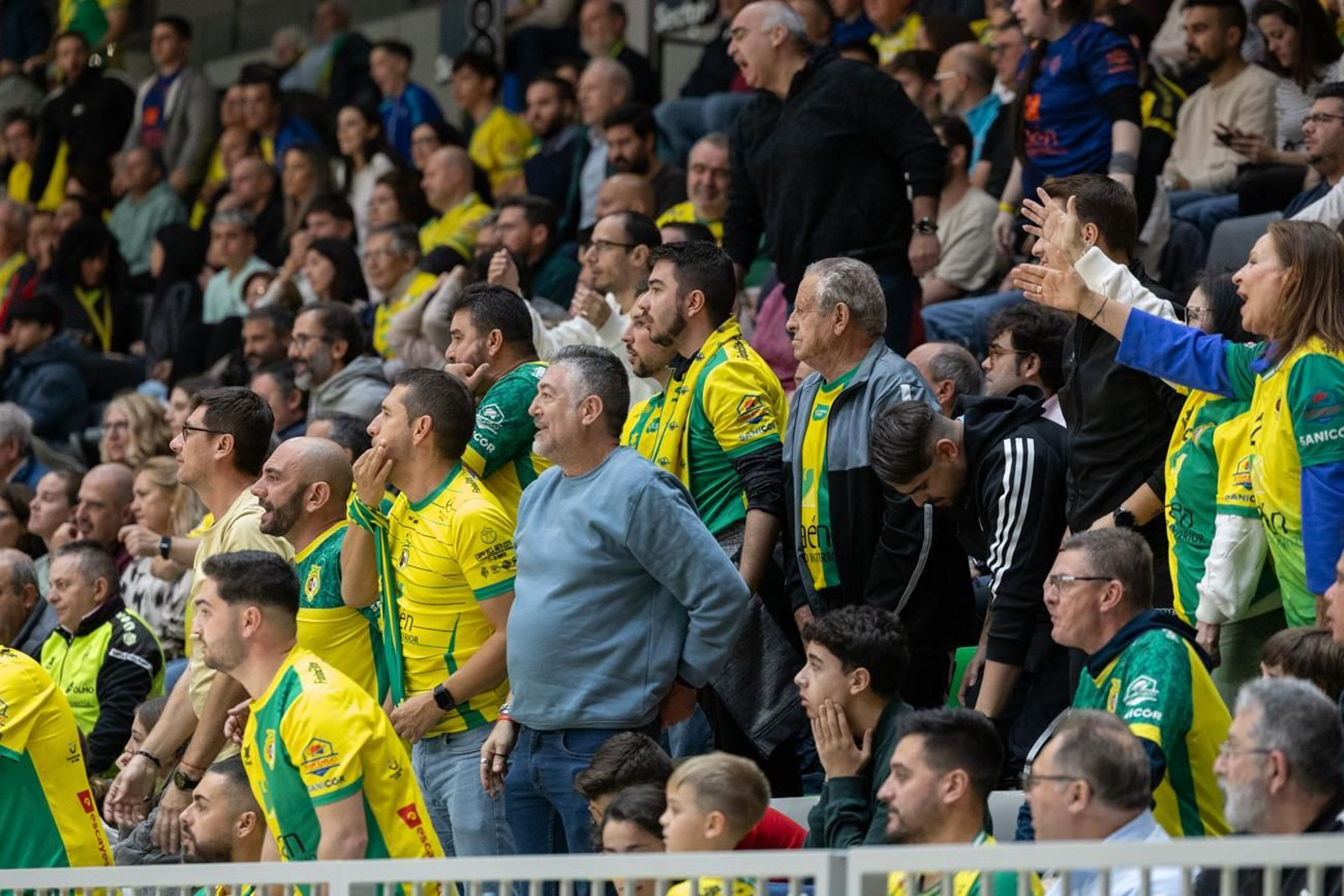 Las mejores imágenes del Jaén Paraíso Interior FS 1 - 1 Jimbee Cartagena