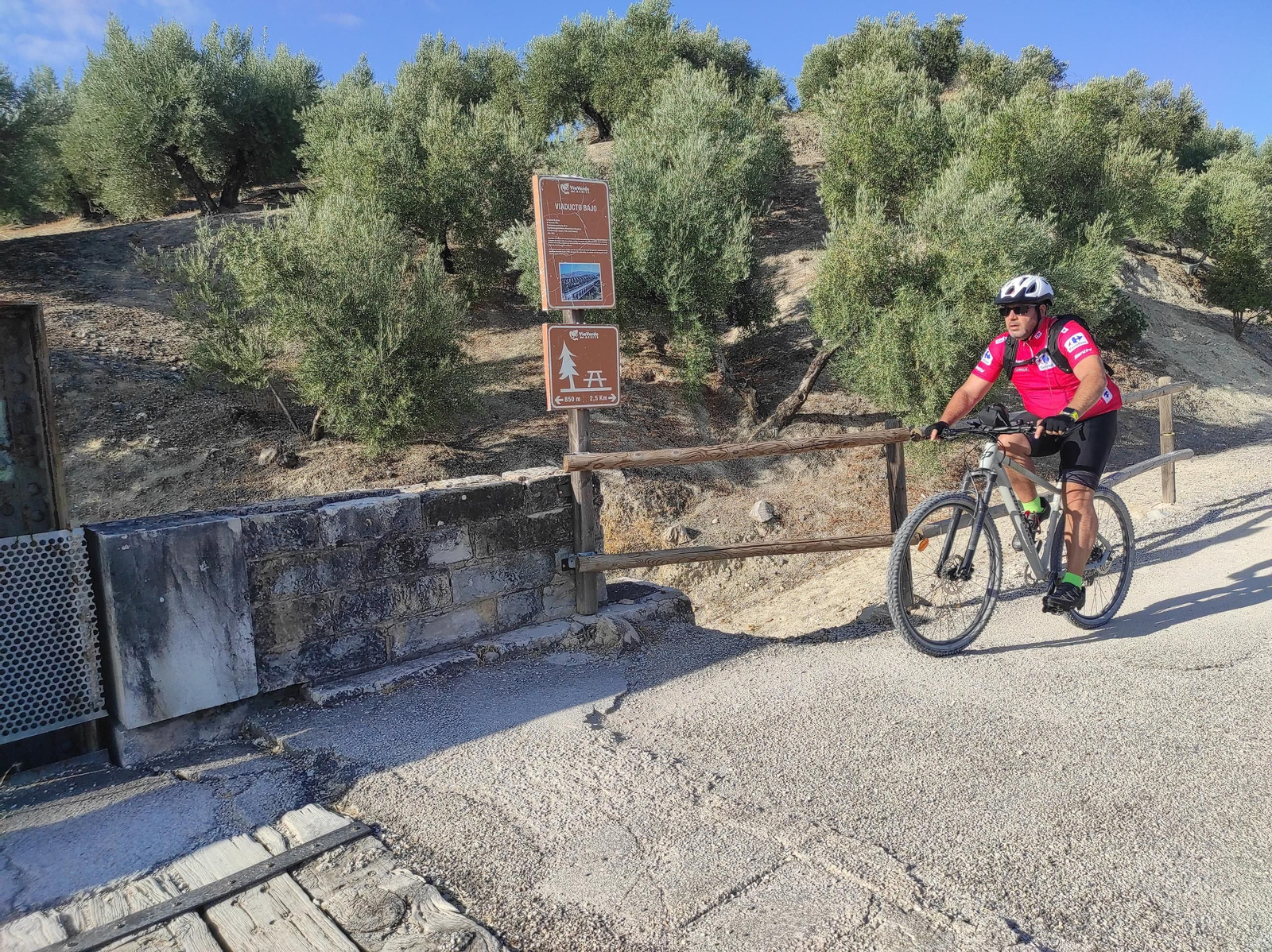 De Torredelcampo a Porcuna por la Vía Verde del Aceite: túneles, pasarelas y arte