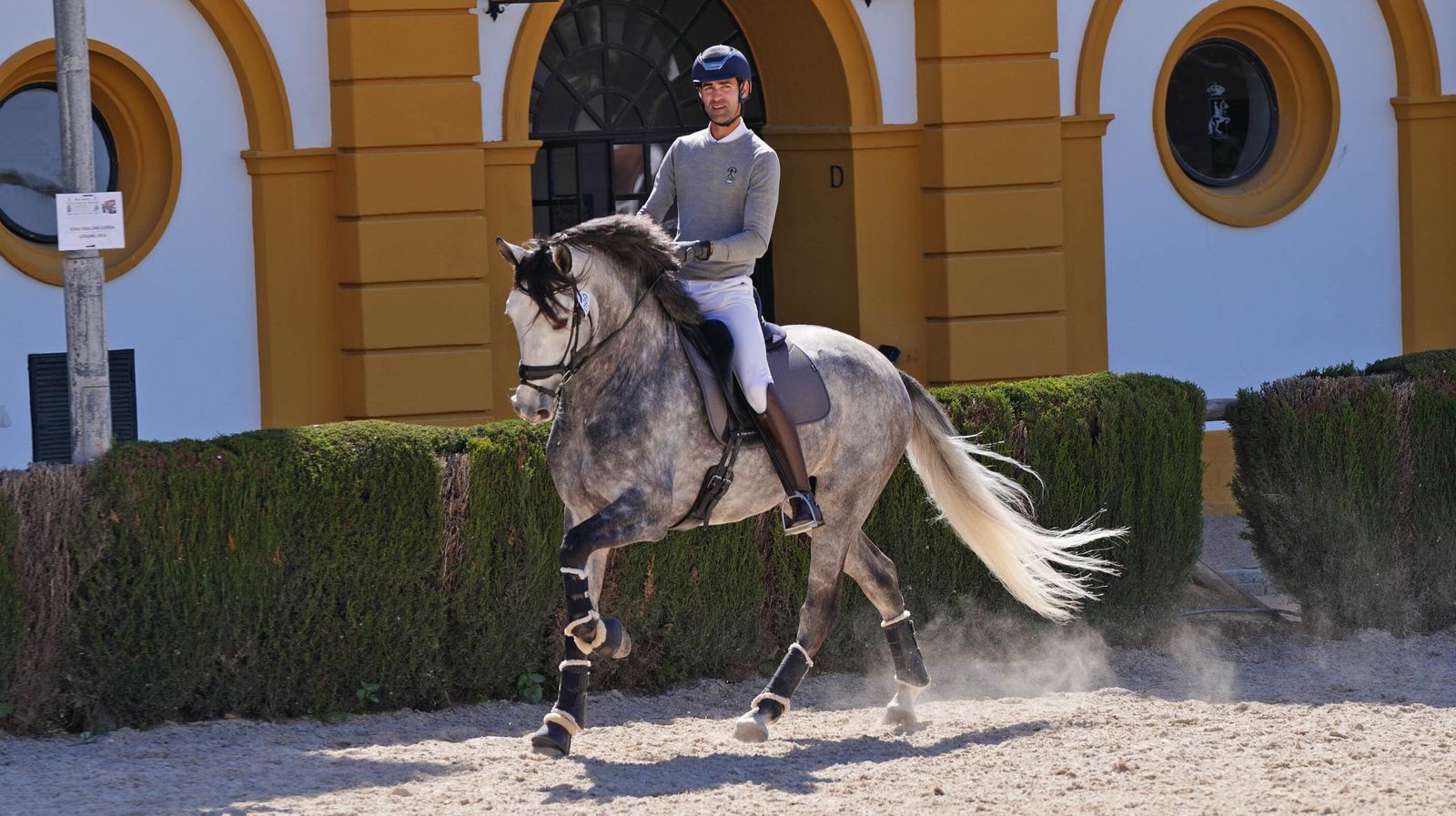 Concurso de Doma Clásica internacional en la Real escuela de Jerez