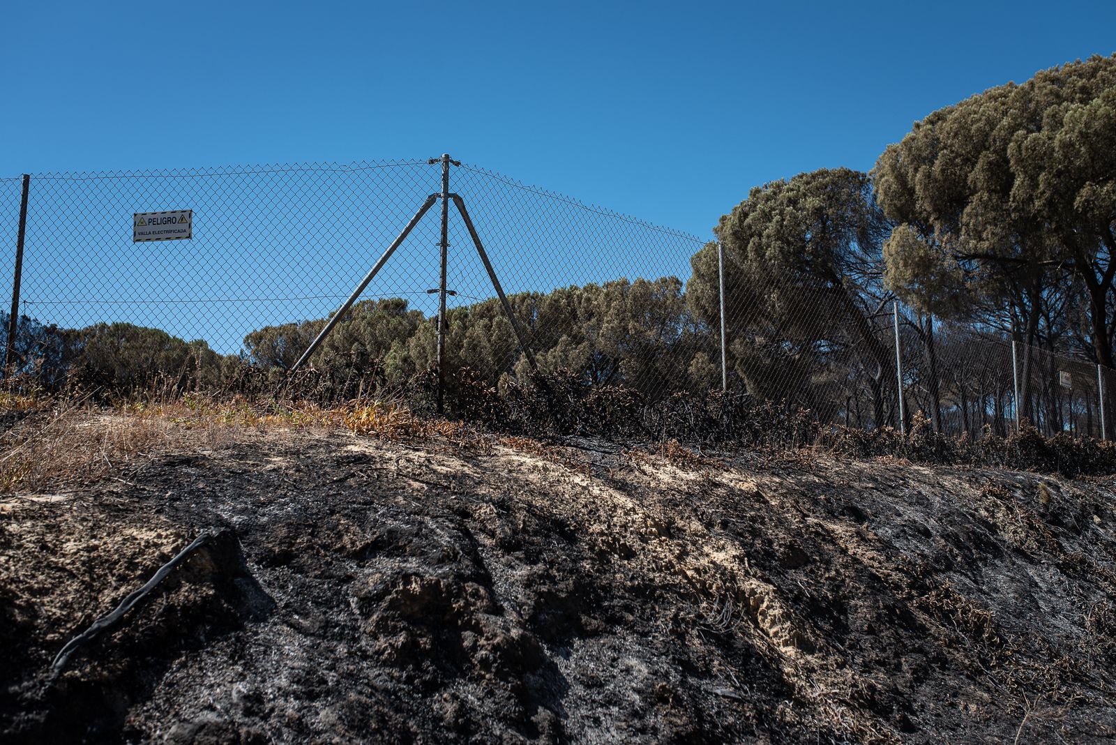 El rastro del incendio de Almonte en imágenes