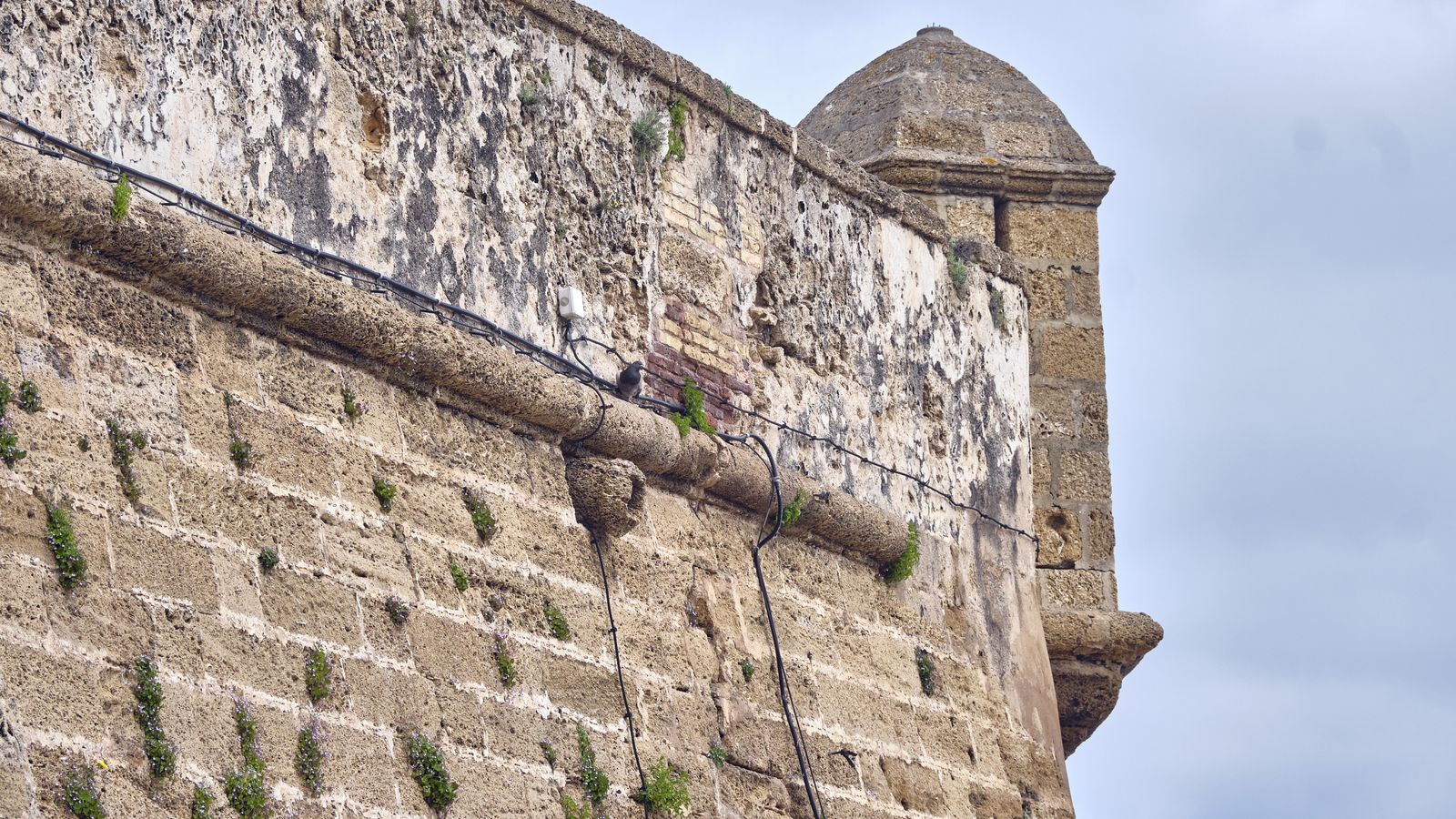 Cables cubriendo una fachada de Cádiz.